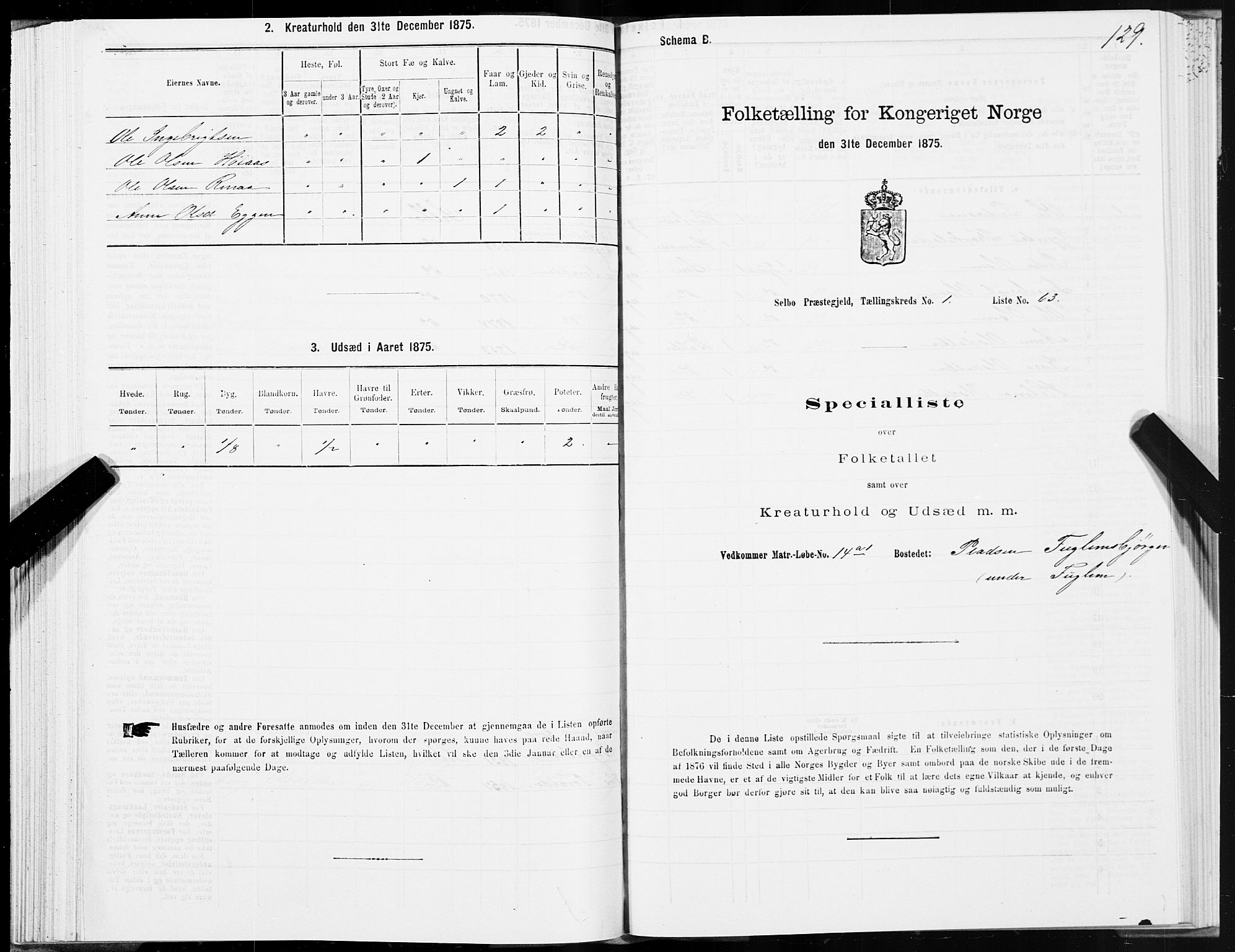 SAT, Folketelling 1875 for 1664P Selbu prestegjeld, 1875, s. 1129