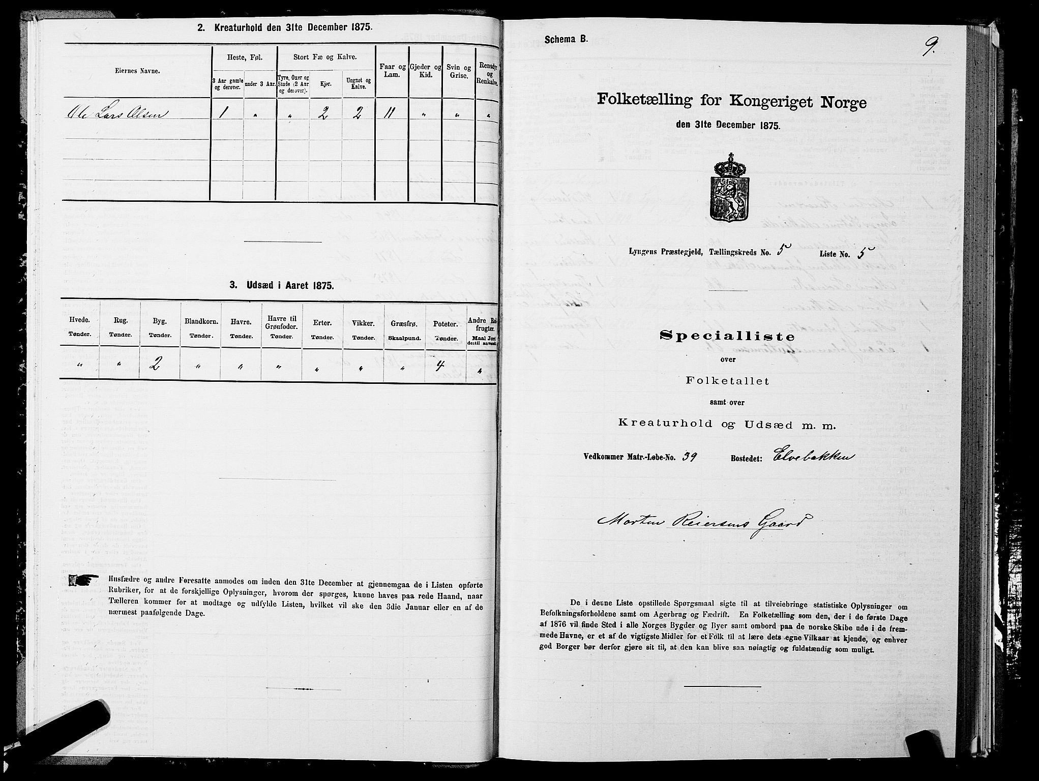 SATØ, Folketelling 1875 for 1938P Lyngen prestegjeld, 1875, s. 5009