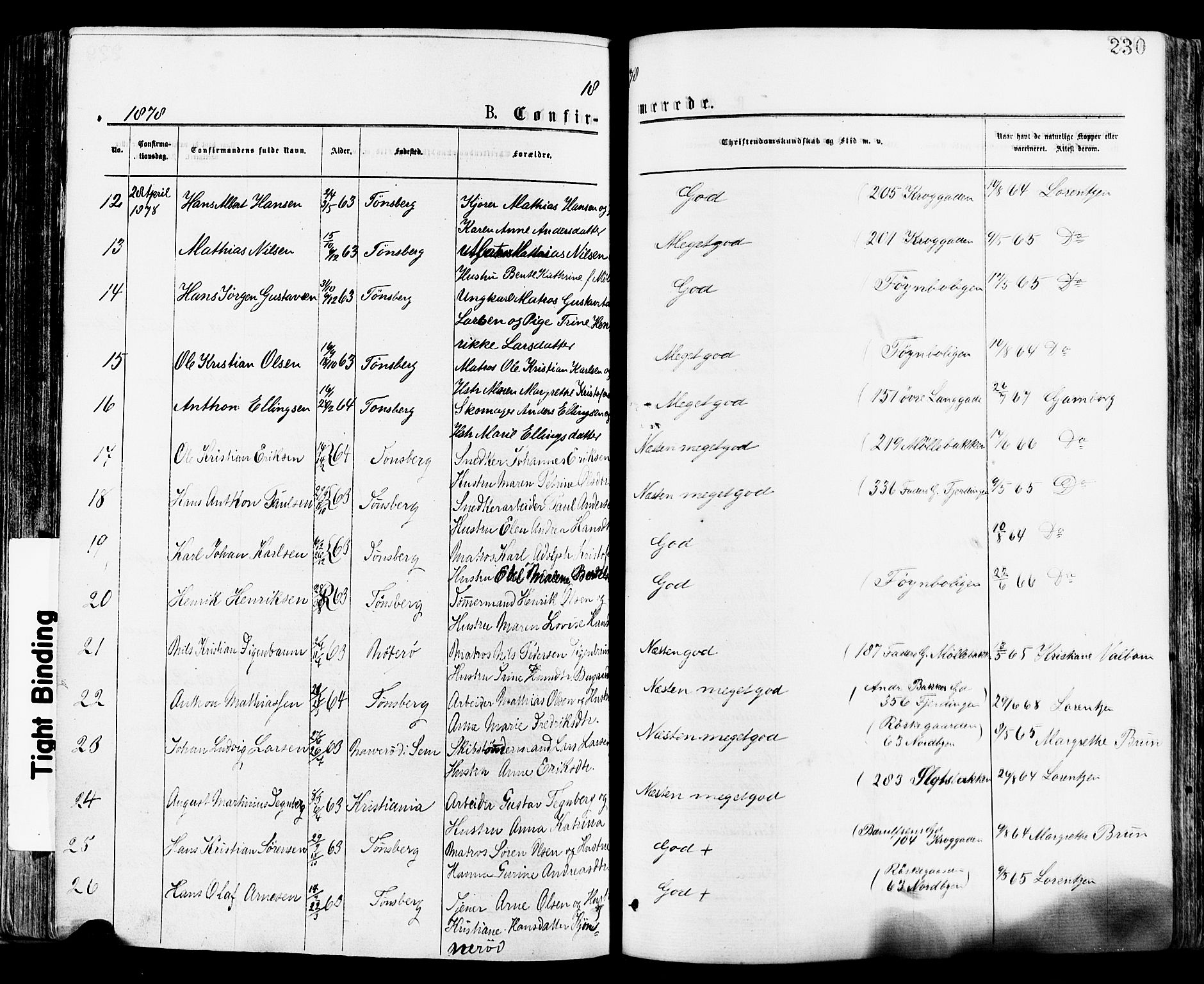 Tønsberg kirkebøker, AV/SAKO-A-330/F/Fa/L0010: Ministerialbok nr. I 10, 1874-1880, s. 230