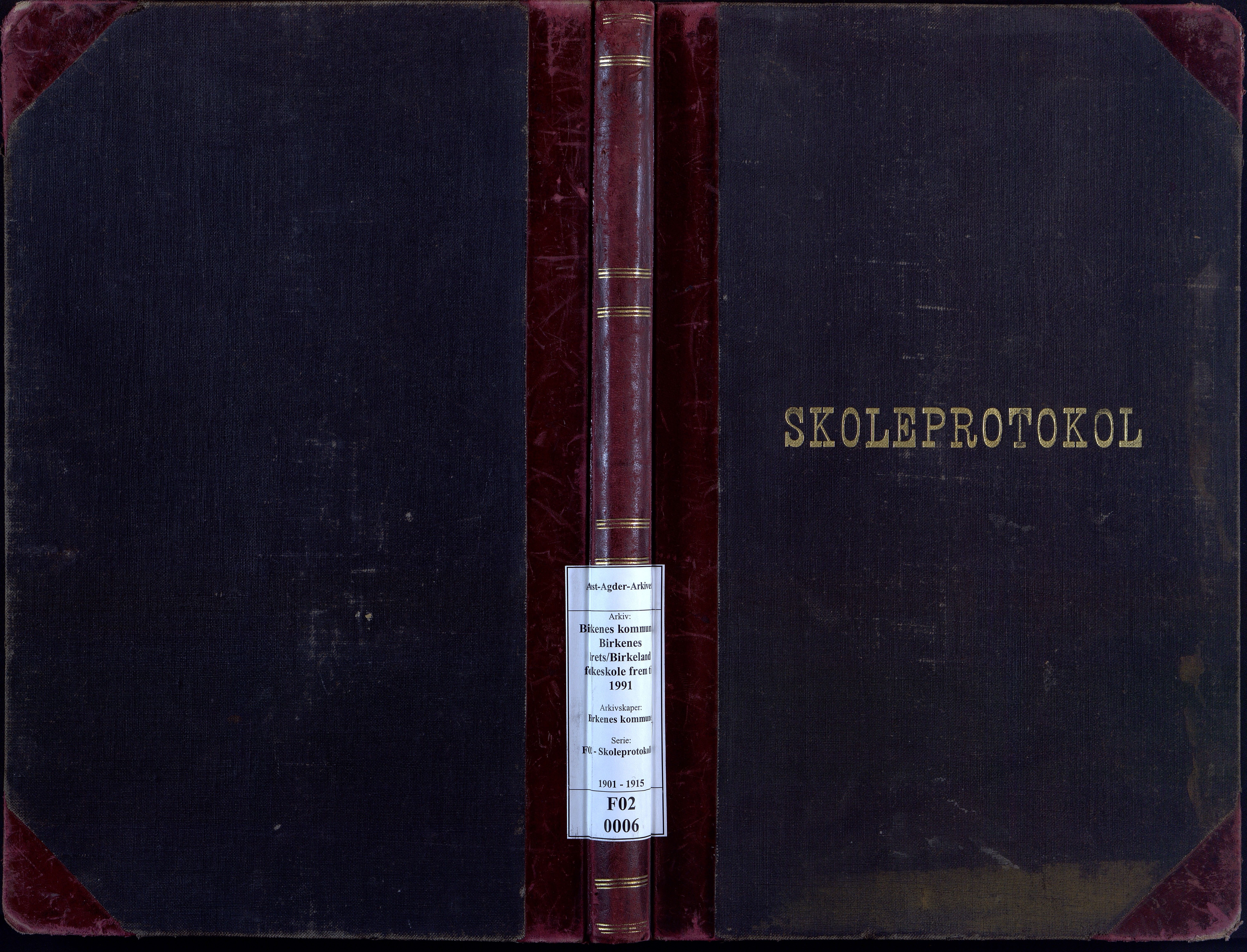 Birkenes kommune, Birkenes krets/Birkeland folkeskole frem til 1991, AAKS/KA0928-550a_91/F02/L0006: Skoleprotokoll, 1901-1915