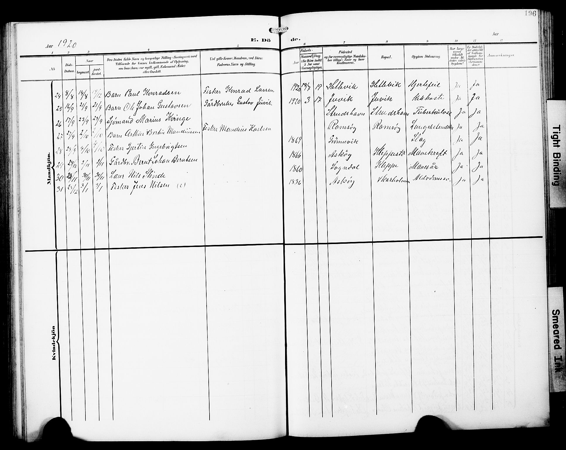 Askøy Sokneprestembete, AV/SAB-A-74101/H/Ha/Hab/Haba/L0014: Klokkerbok nr. A 14, 1904-1927, s. 196