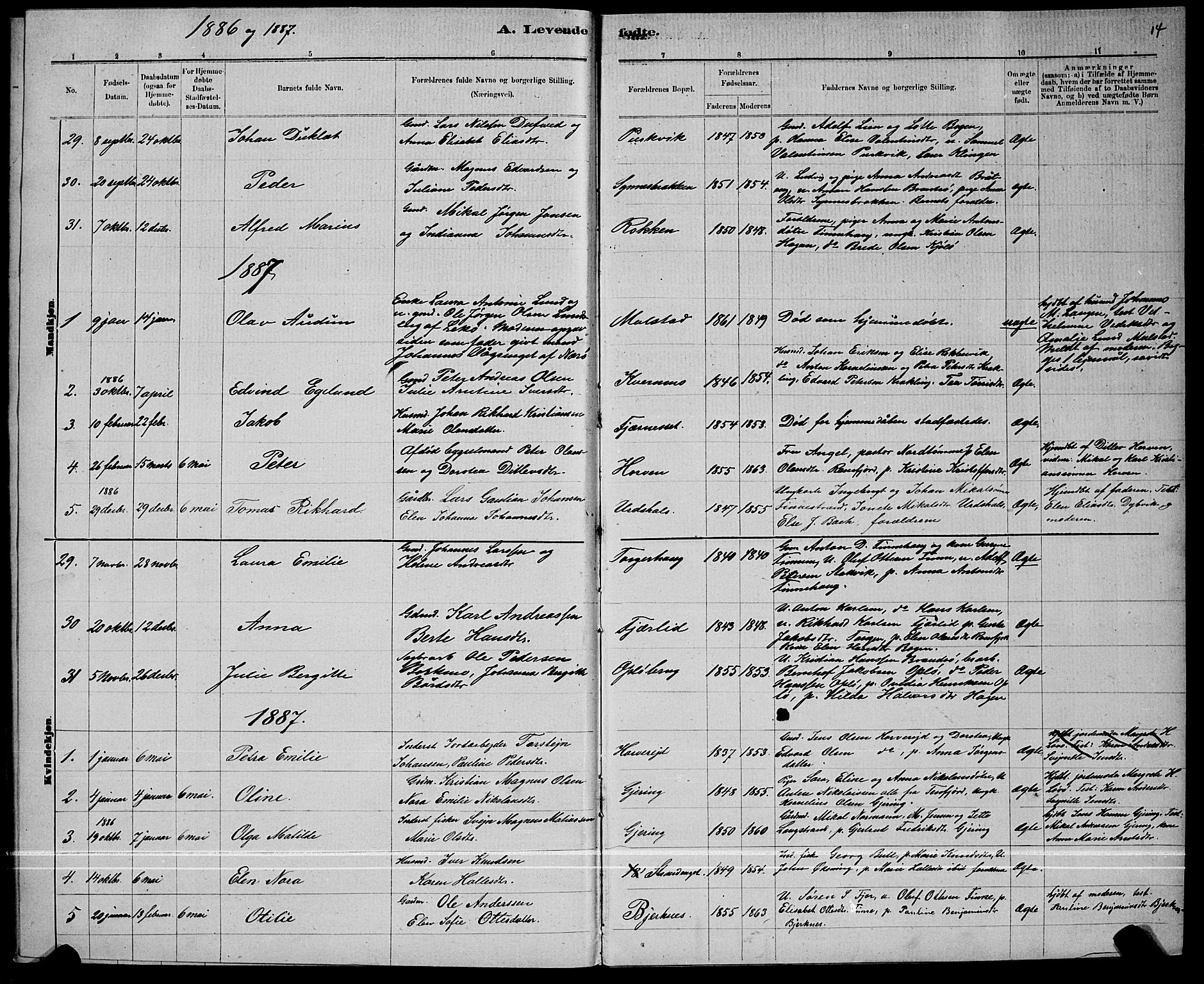 Ministerialprotokoller, klokkerbøker og fødselsregistre - Nord-Trøndelag, AV/SAT-A-1458/780/L0651: Klokkerbok nr. 780C03, 1884-1898, s. 14