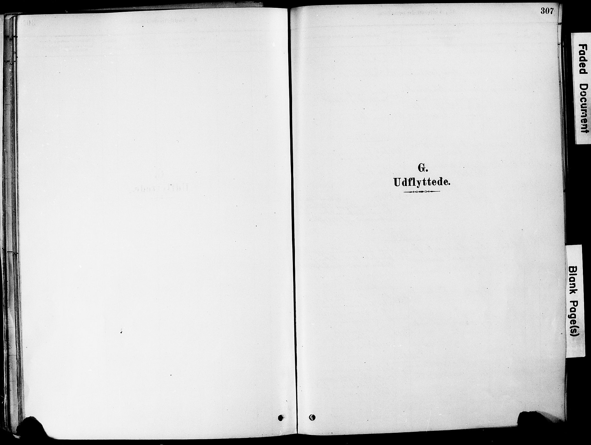Strømm kirkebøker, SAKO/A-322/F/Fa/L0004: Ministerialbok nr. I 4, 1878-1899, s. 307
