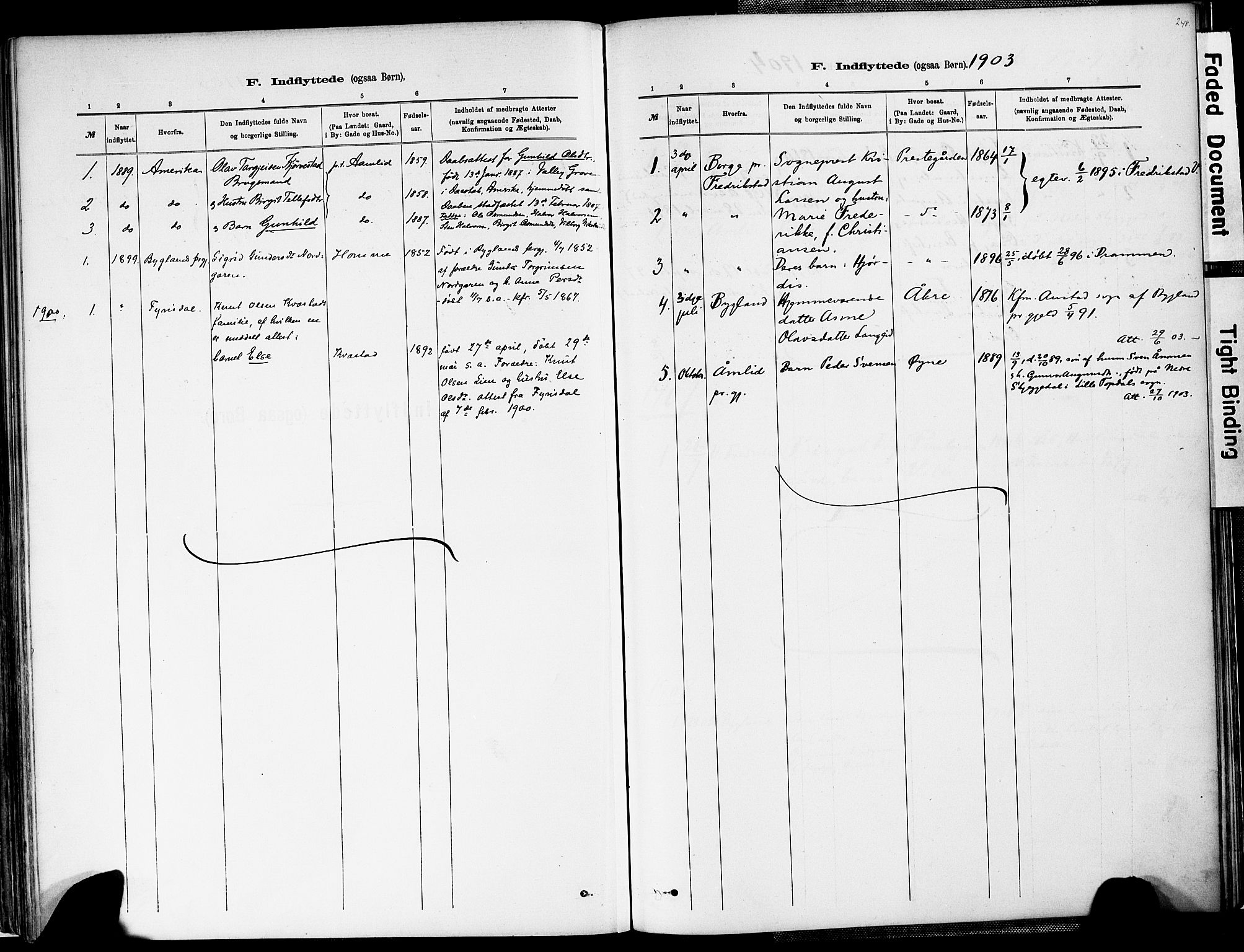 Valle sokneprestkontor, SAK/1111-0044/F/Fa/Fac/L0009: Ministerialbok nr. A 9, 1882-1913, s. 248