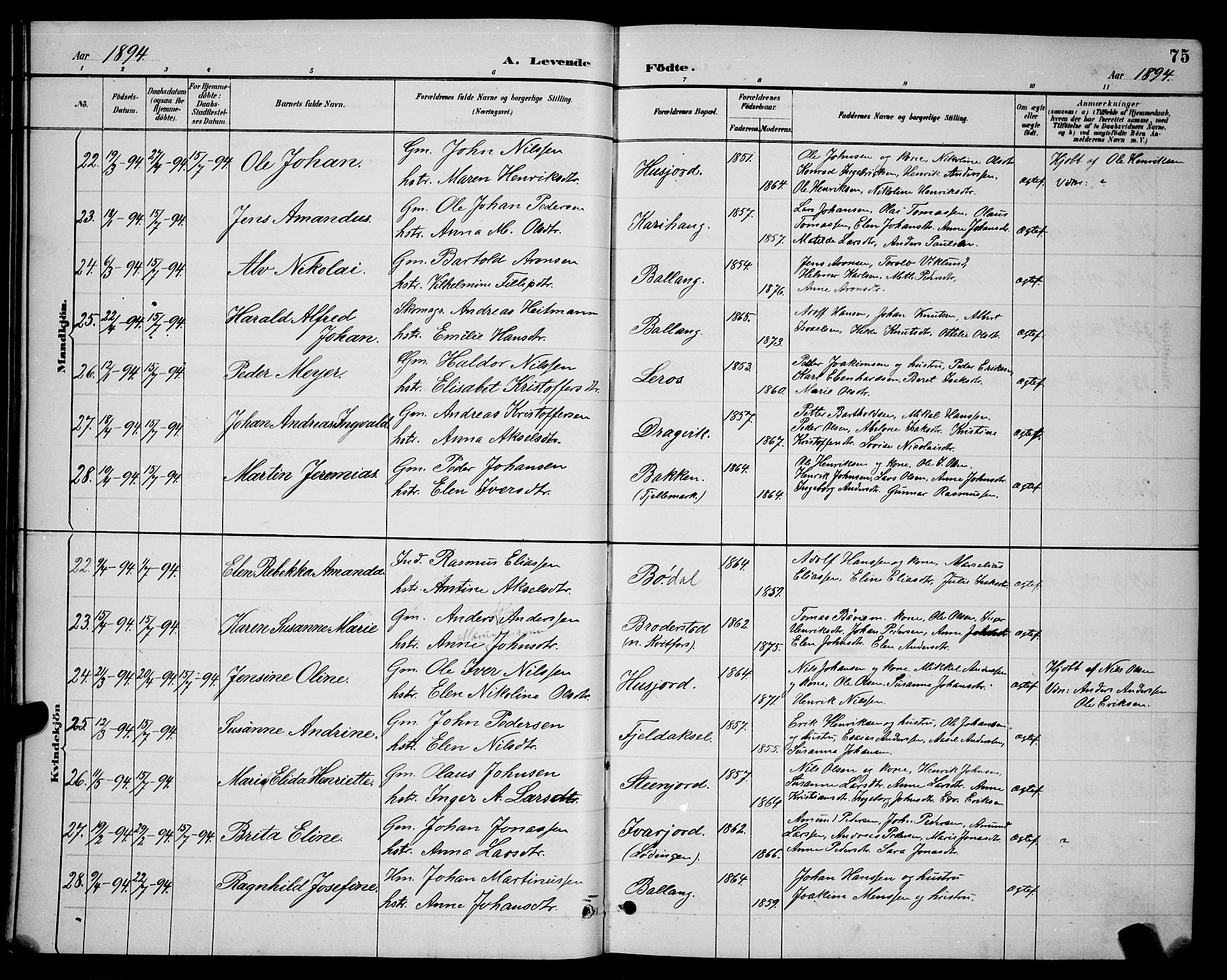 Ministerialprotokoller, klokkerbøker og fødselsregistre - Nordland, AV/SAT-A-1459/863/L0914: Klokkerbok nr. 863C04, 1886-1897, s. 75