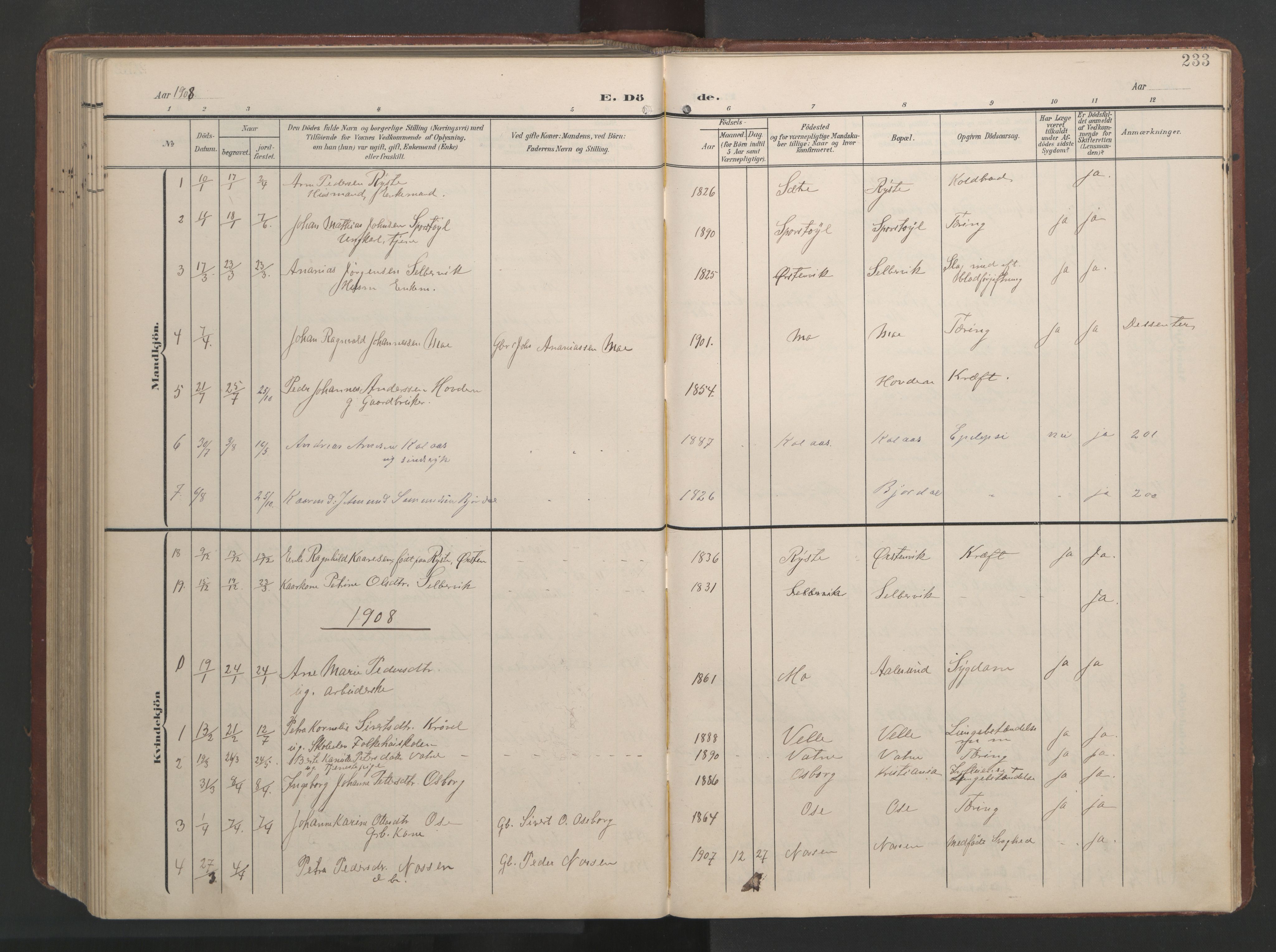 Ministerialprotokoller, klokkerbøker og fødselsregistre - Møre og Romsdal, SAT/A-1454/513/L0190: Klokkerbok nr. 513C04, 1904-1926, s. 233