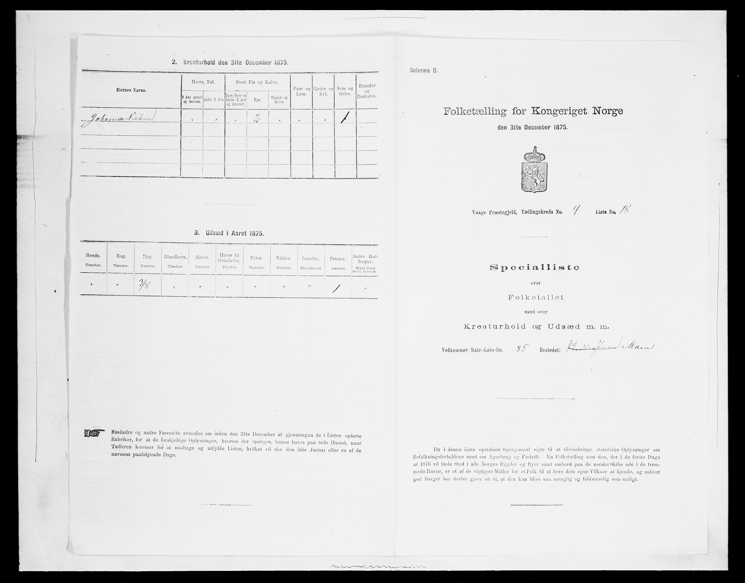 SAH, Folketelling 1875 for 0515P Vågå prestegjeld, 1875, s. 719