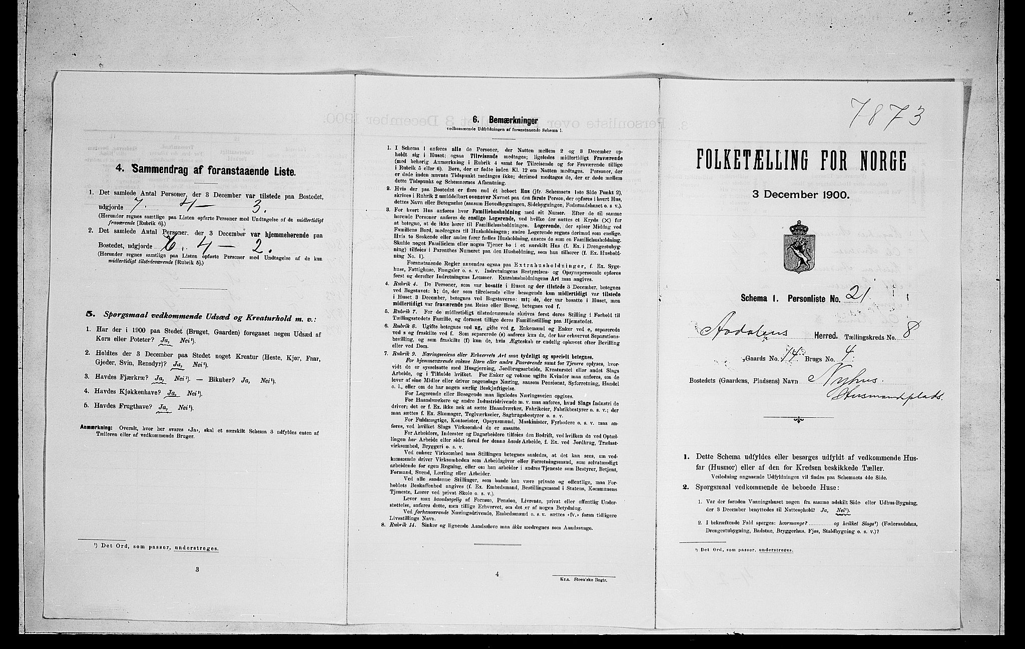 RA, Folketelling 1900 for 0614 Ådal herred, 1900, s. 571