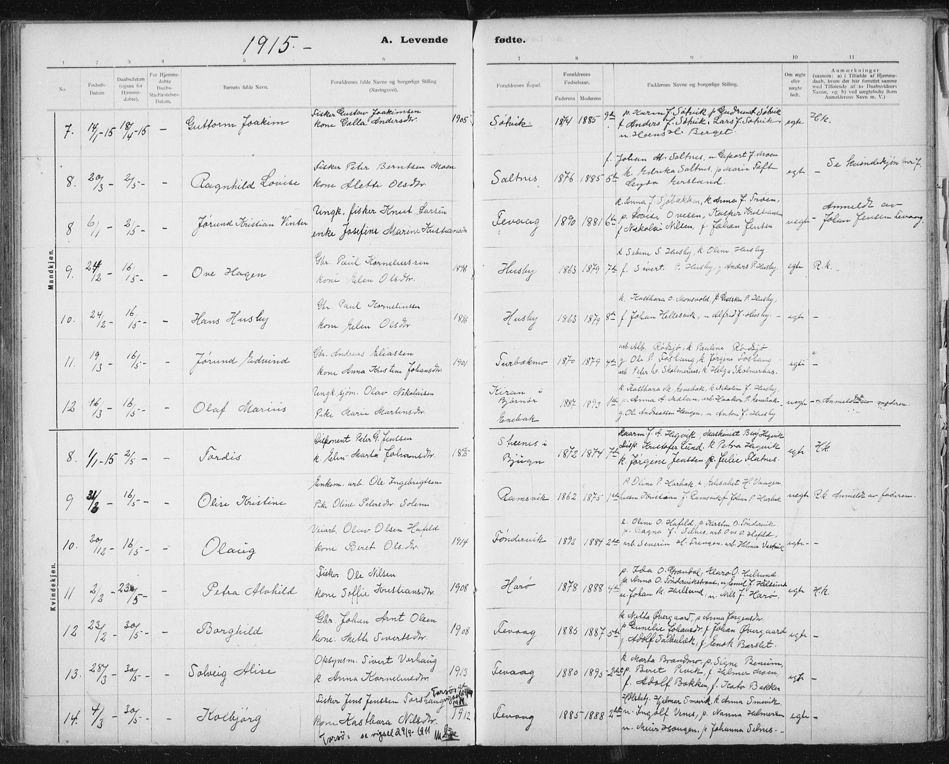Ministerialprotokoller, klokkerbøker og fødselsregistre - Sør-Trøndelag, AV/SAT-A-1456/653/L0660: Klokkerbok nr. 653C04, 1894-1919