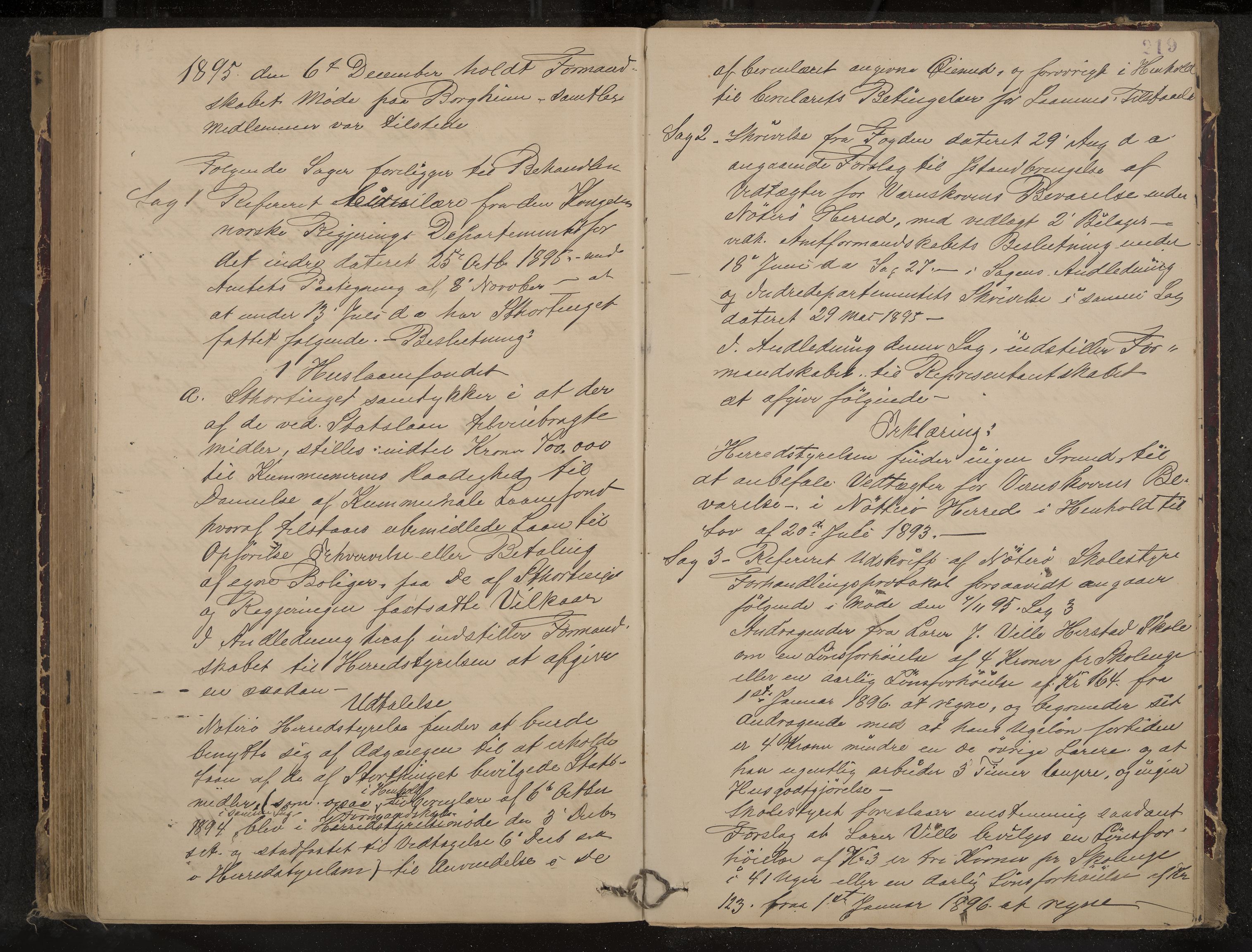 Nøtterøy formannskap og sentraladministrasjon, IKAK/0722021-1/A/Aa/L0004: Møtebok, 1887-1896, s. 219