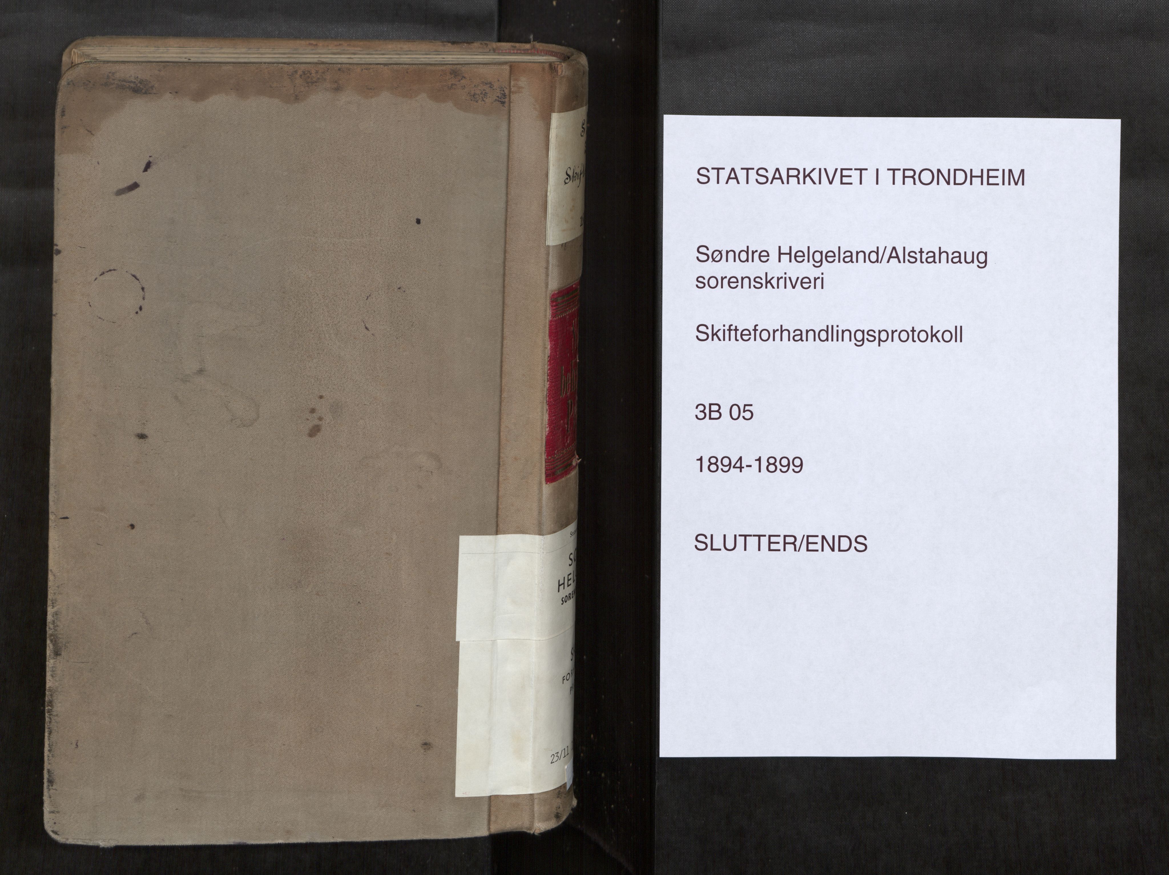Søndre Helgeland sorenskriveri, SAT/A-4575/1/3/3B/L0005: Skiftebehandlingsprotokoll, 1894-1899, s. 666