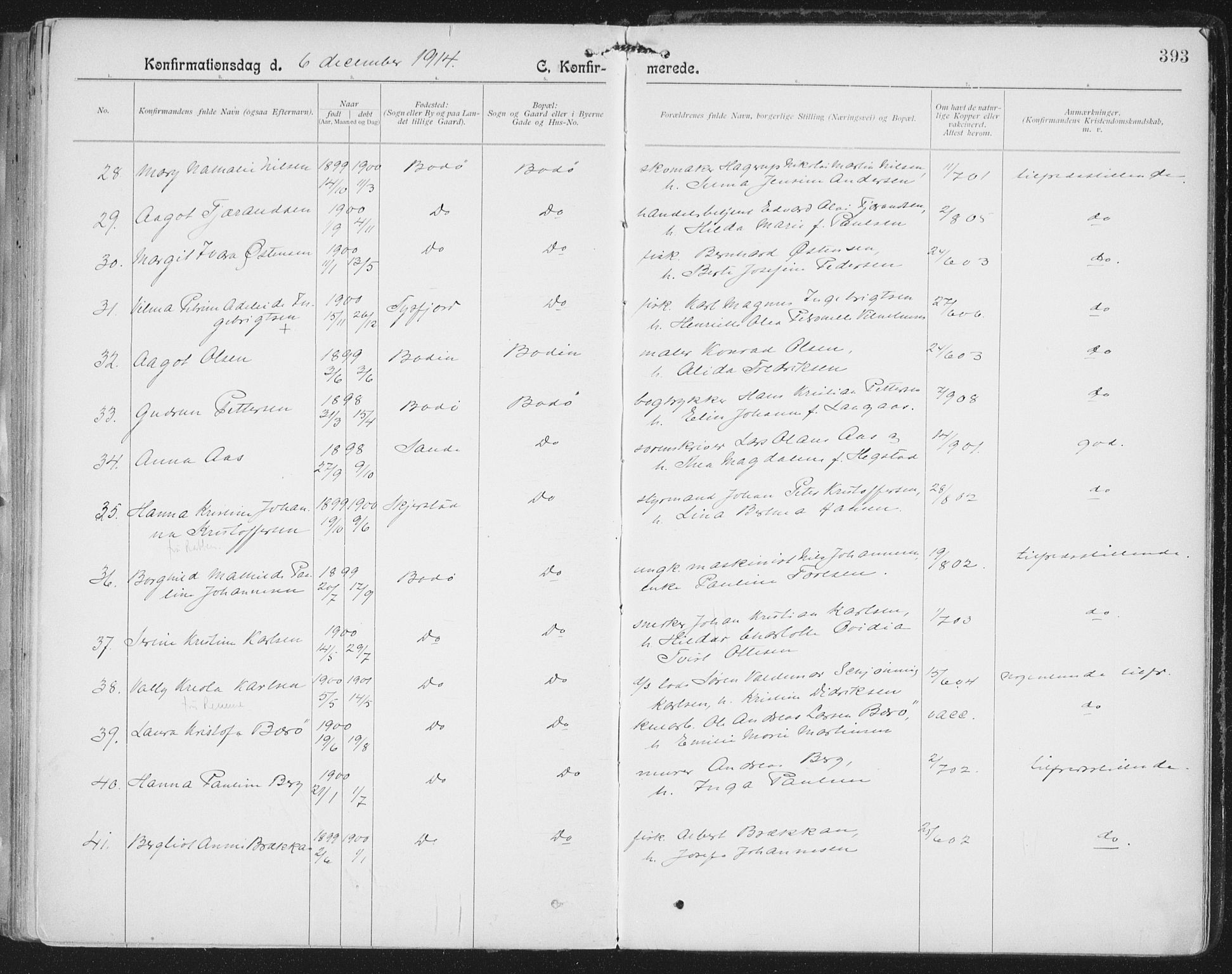 Ministerialprotokoller, klokkerbøker og fødselsregistre - Nordland, AV/SAT-A-1459/801/L0011: Ministerialbok nr. 801A11, 1900-1916, s. 393