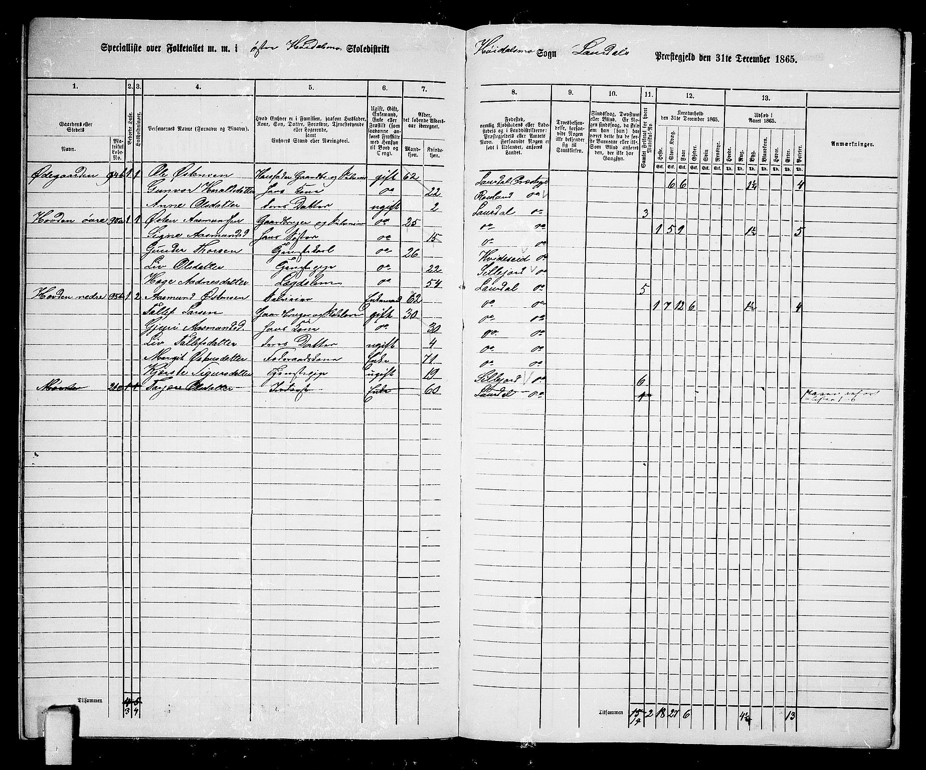 RA, Folketelling 1865 for 0833P Lårdal prestegjeld, 1865, s. 64