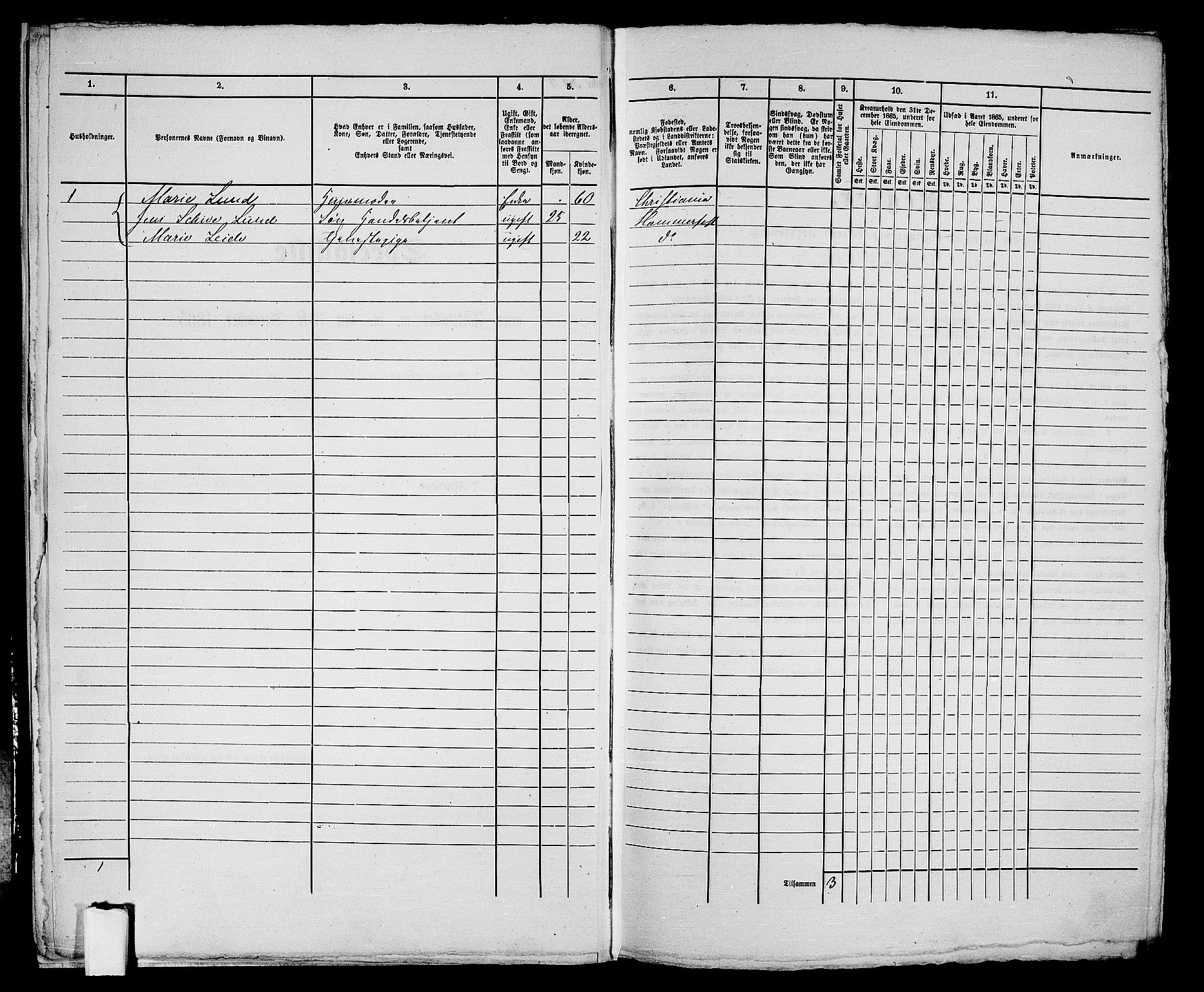 RA, Folketelling 1865 for 2001B Hammerfest prestegjeld, Hammerfest kjøpstad, 1865, s. 15