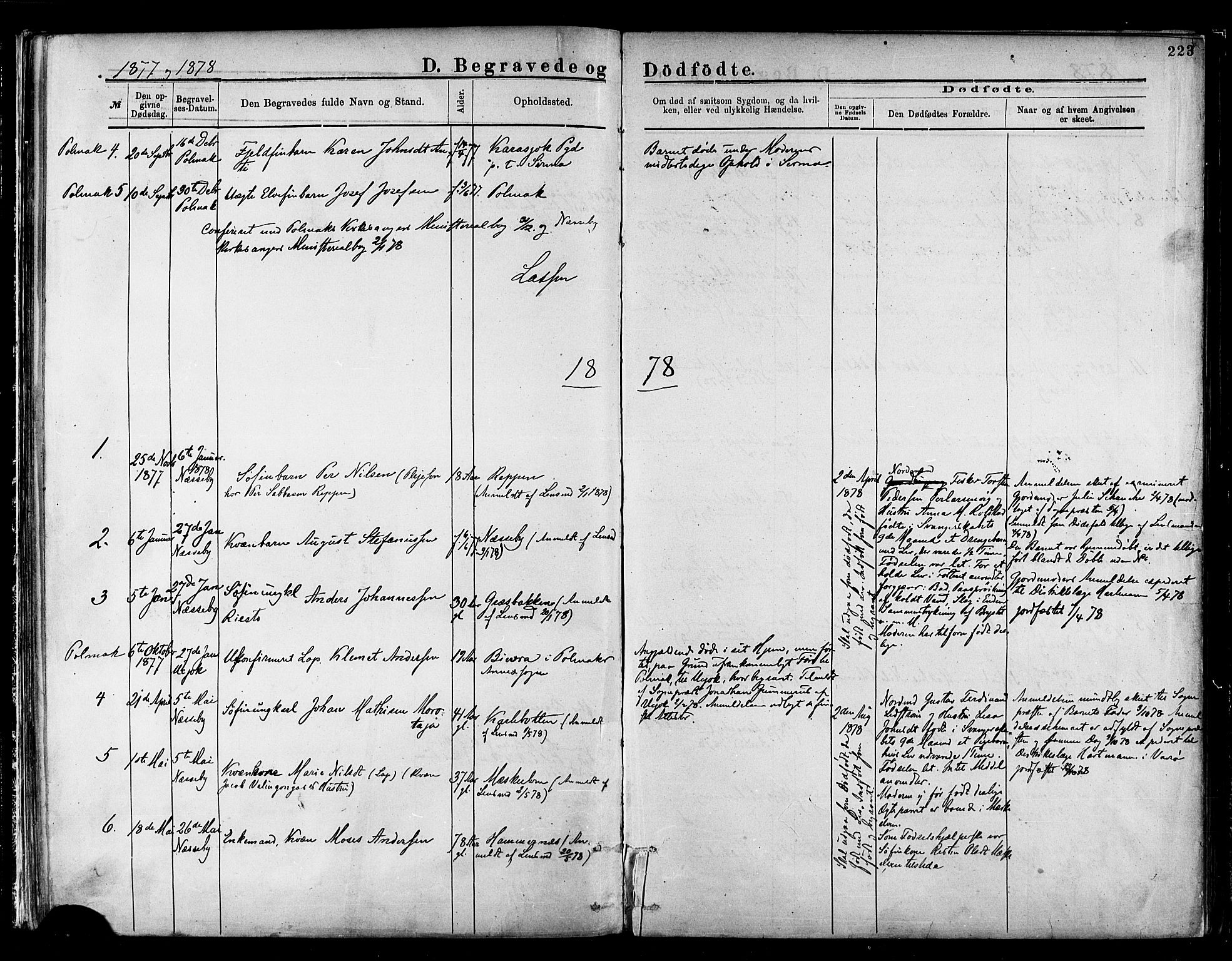 Nesseby sokneprestkontor, AV/SATØ-S-1330/H/Ha/L0004kirke: Ministerialbok nr. 4, 1877-1884, s. 223