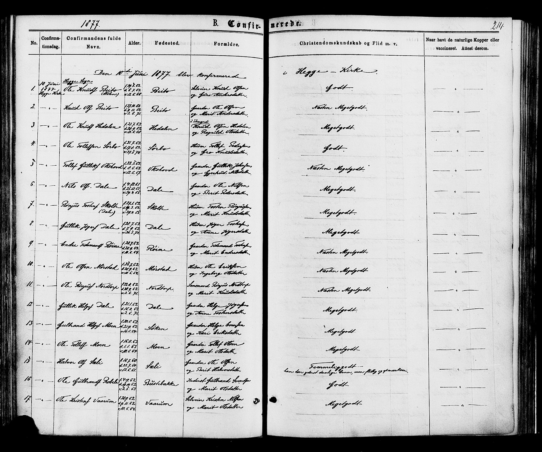 Øystre Slidre prestekontor, AV/SAH-PREST-138/H/Ha/Haa/L0002: Ministerialbok nr. 2, 1874-1886, s. 214