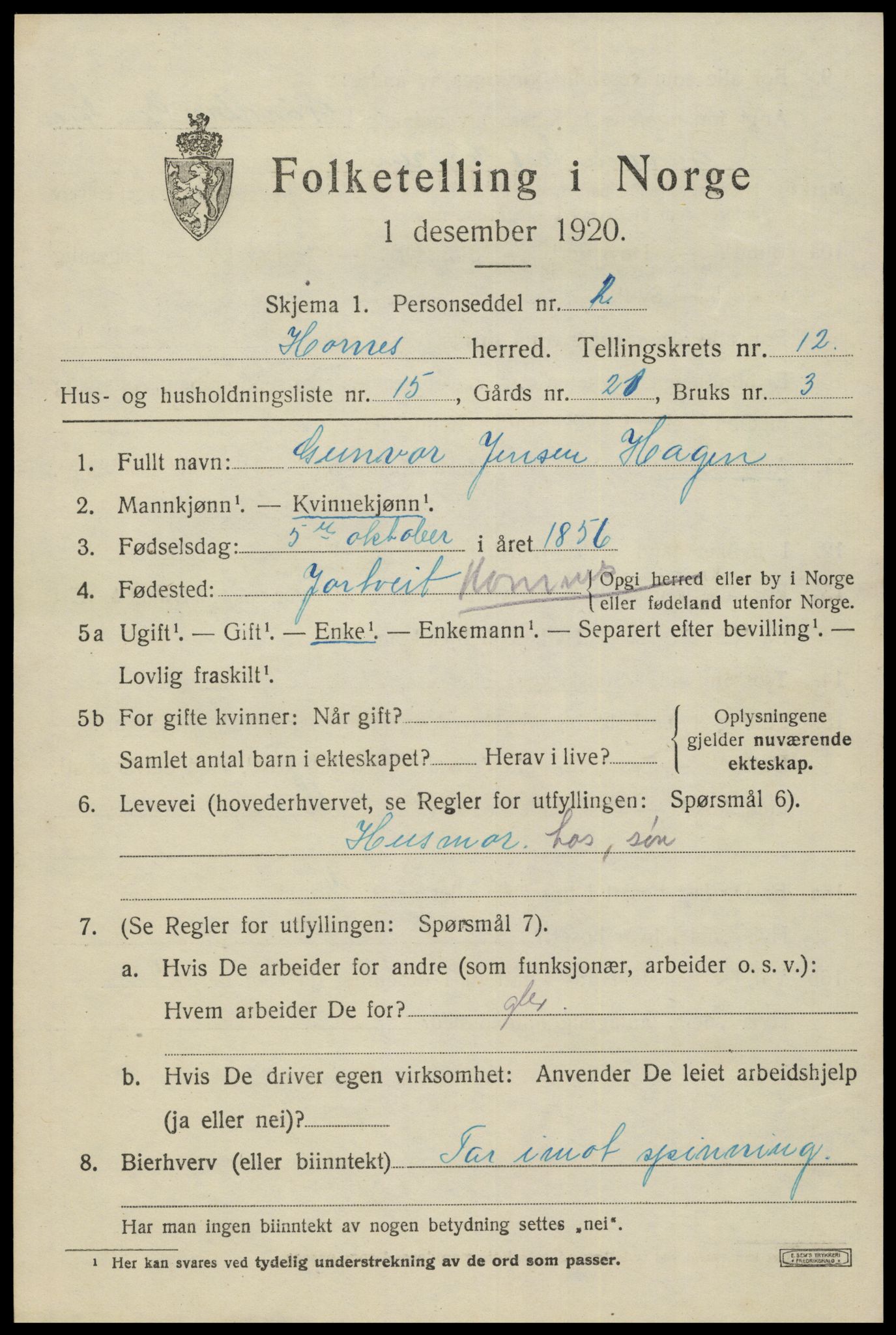 SAK, Folketelling 1920 for 0936 Hornnes herred, 1920, s. 3045