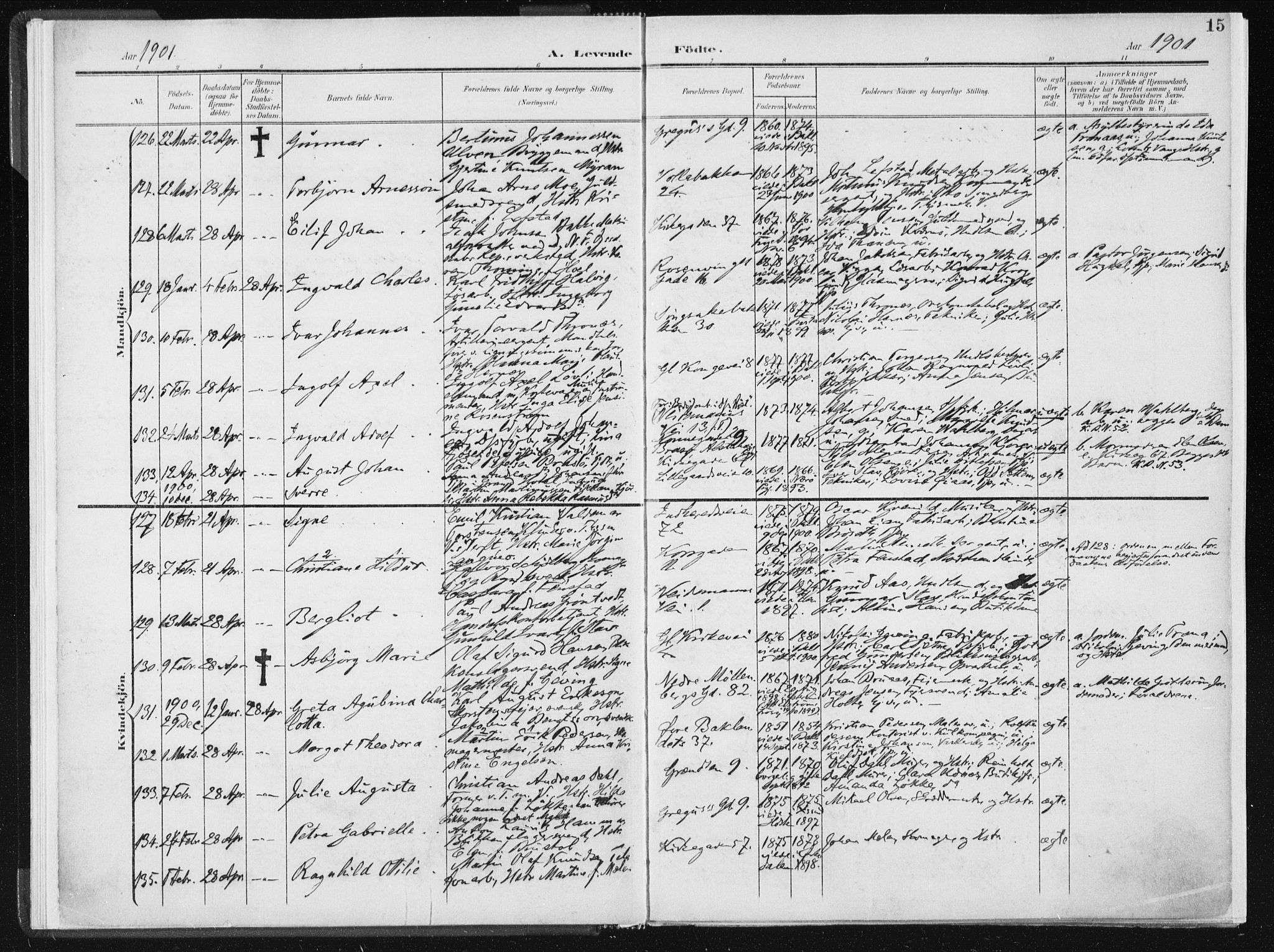 Ministerialprotokoller, klokkerbøker og fødselsregistre - Sør-Trøndelag, SAT/A-1456/604/L0199: Ministerialbok nr. 604A20I, 1901-1906, s. 15