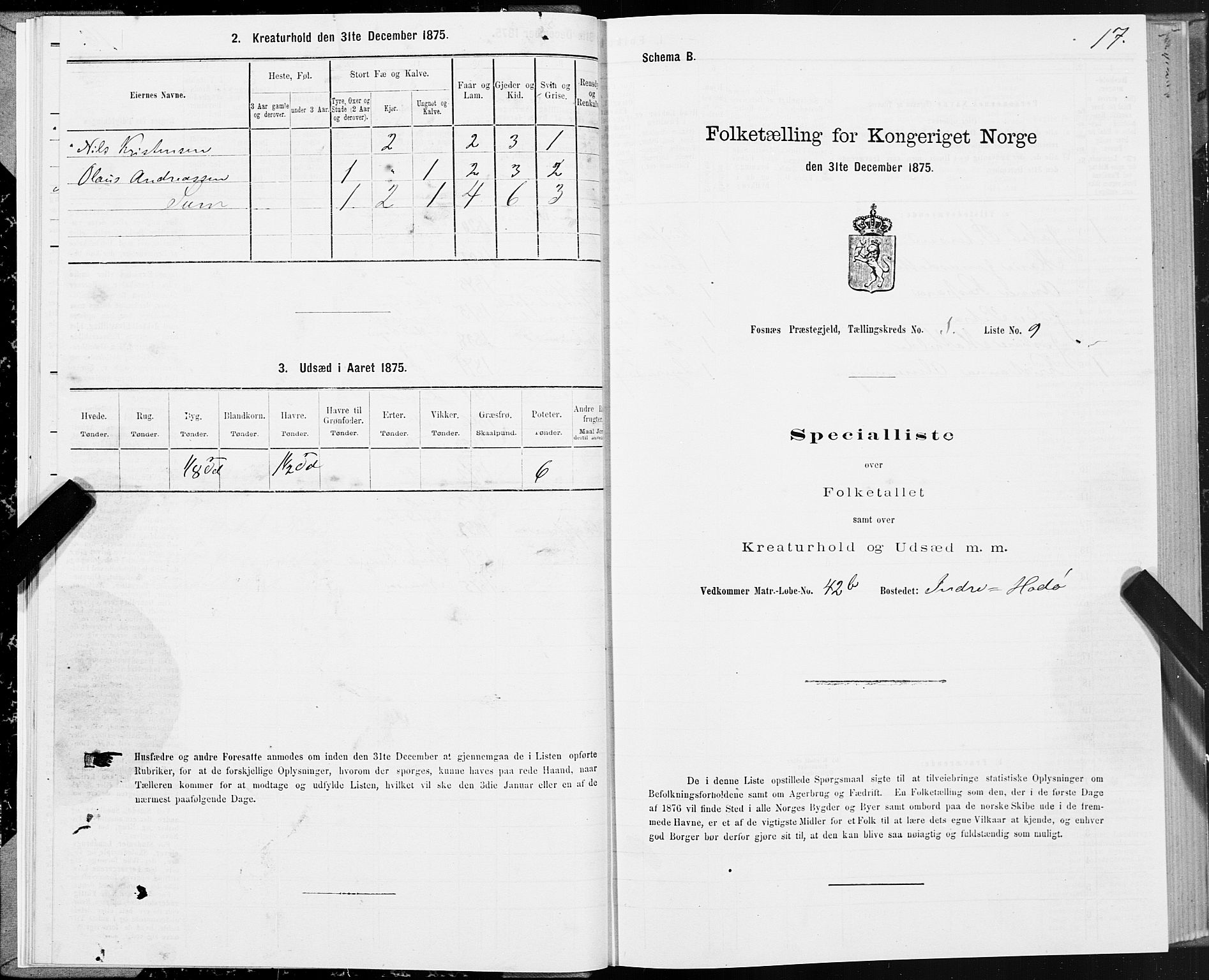 SAT, Folketelling 1875 for 1748P Fosnes prestegjeld, 1875, s. 3017