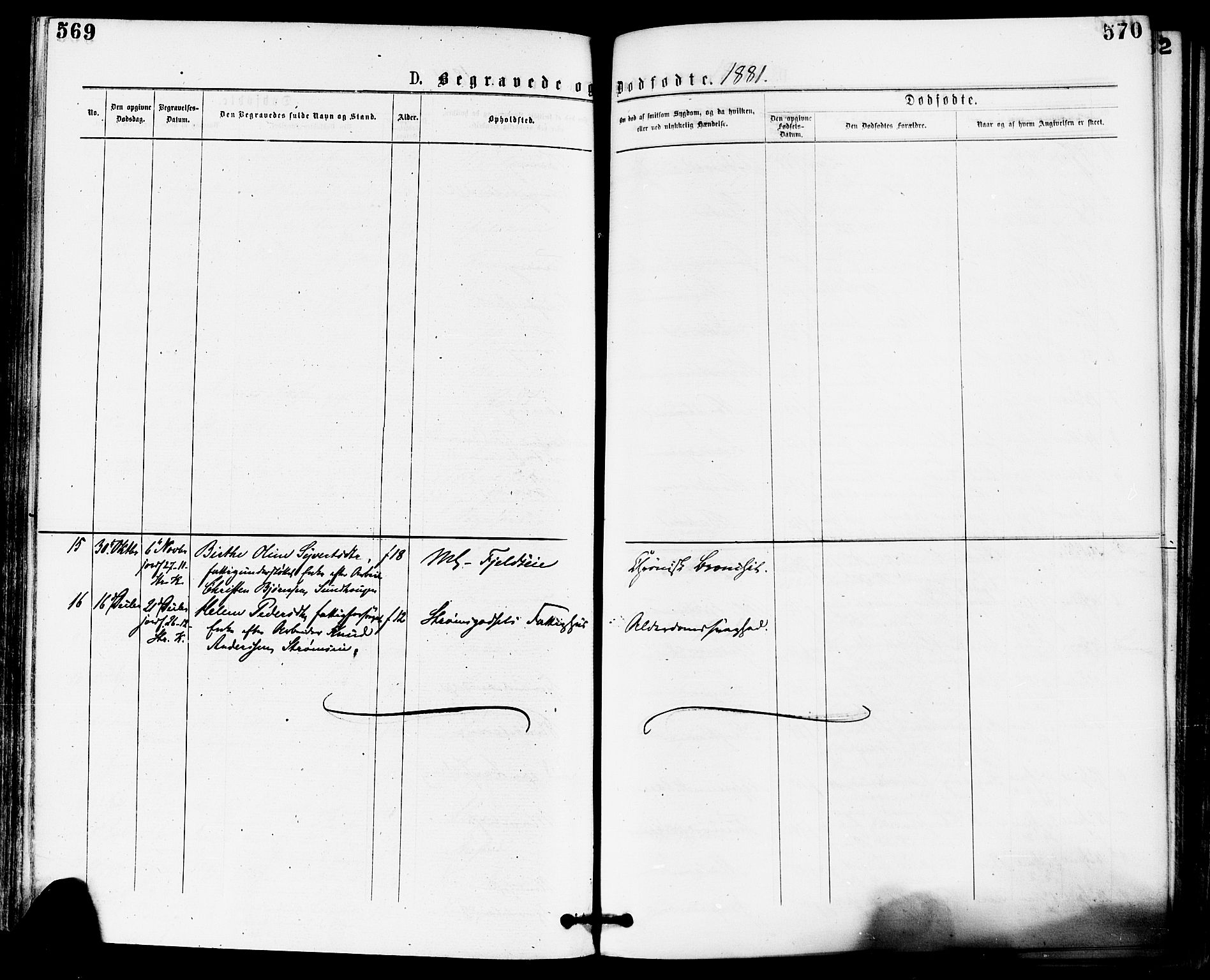 Skoger kirkebøker, SAKO/A-59/F/Fa/L0005: Ministerialbok nr. I 5, 1873-1884, s. 569-570