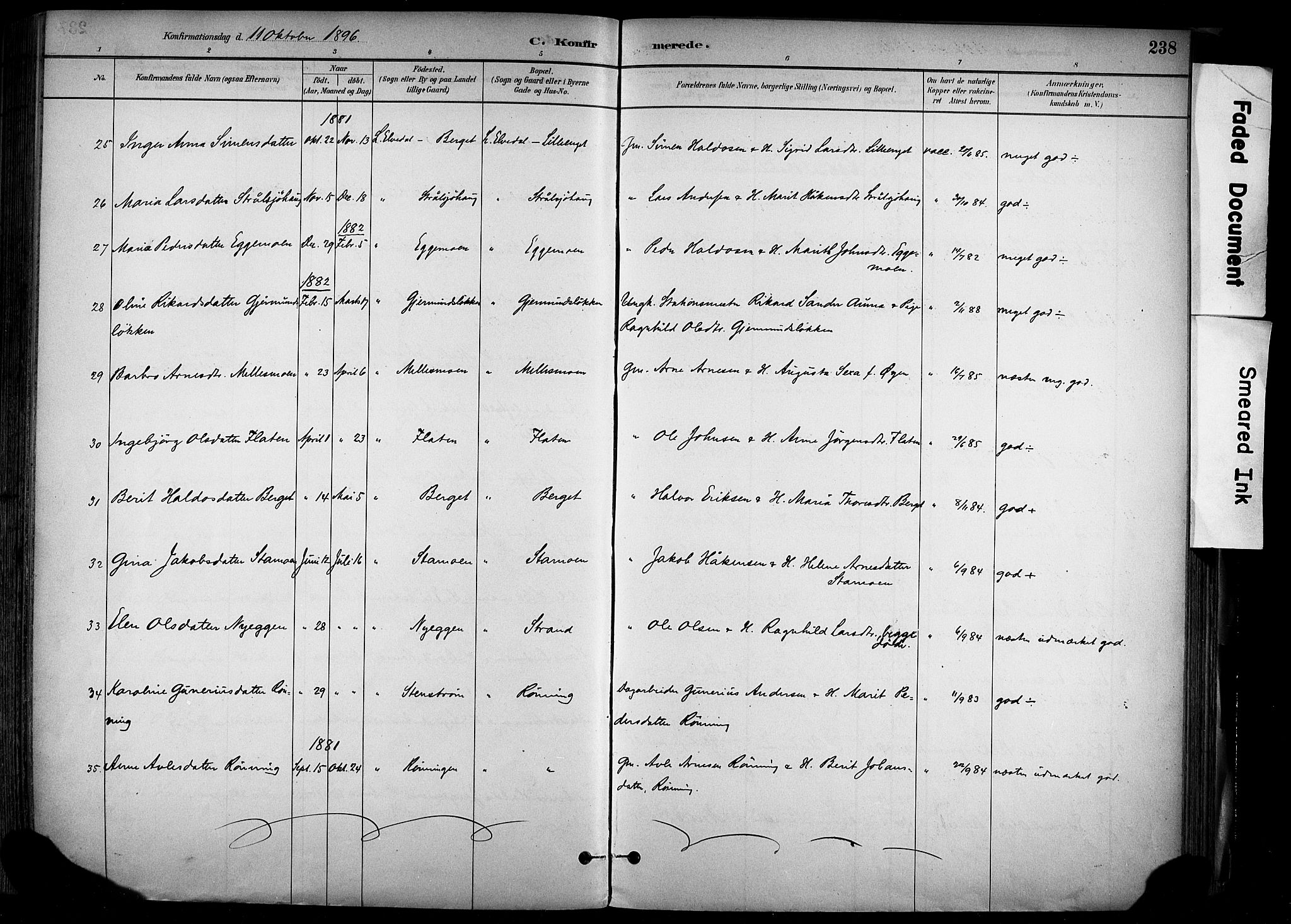 Alvdal prestekontor, AV/SAH-PREST-060/H/Ha/Haa/L0002: Ministerialbok nr. 2, 1883-1906, s. 238