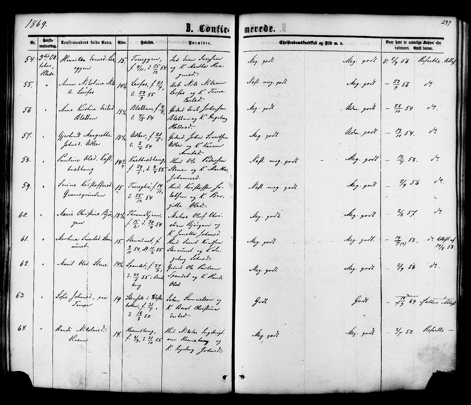 Ministerialprotokoller, klokkerbøker og fødselsregistre - Sør-Trøndelag, SAT/A-1456/606/L0293: Ministerialbok nr. 606A08, 1866-1877, s. 237