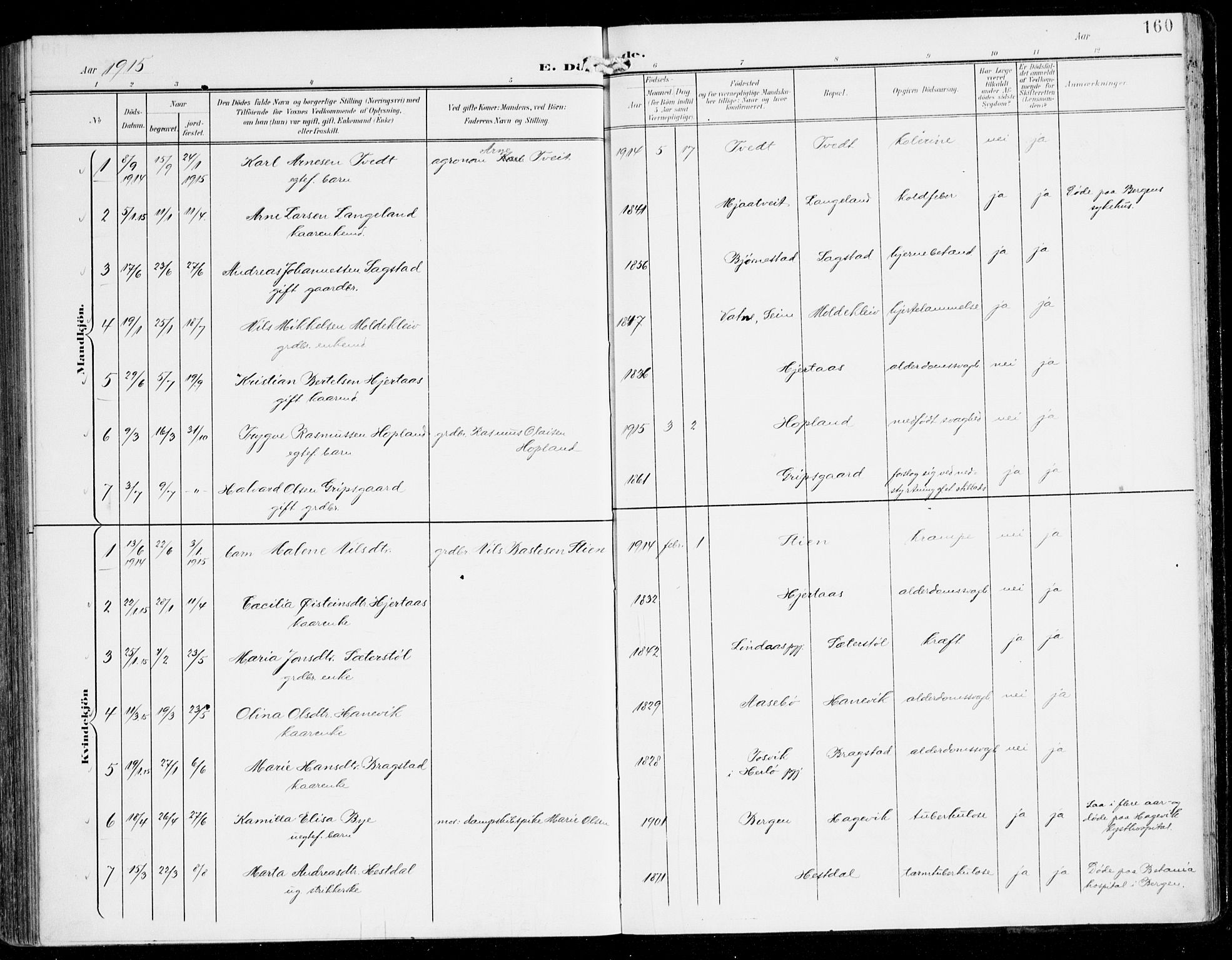 Alversund Sokneprestembete, SAB/A-73901/H/Ha/Haa/Haac/L0002: Ministerialbok nr. C 2, 1901-1921, s. 160