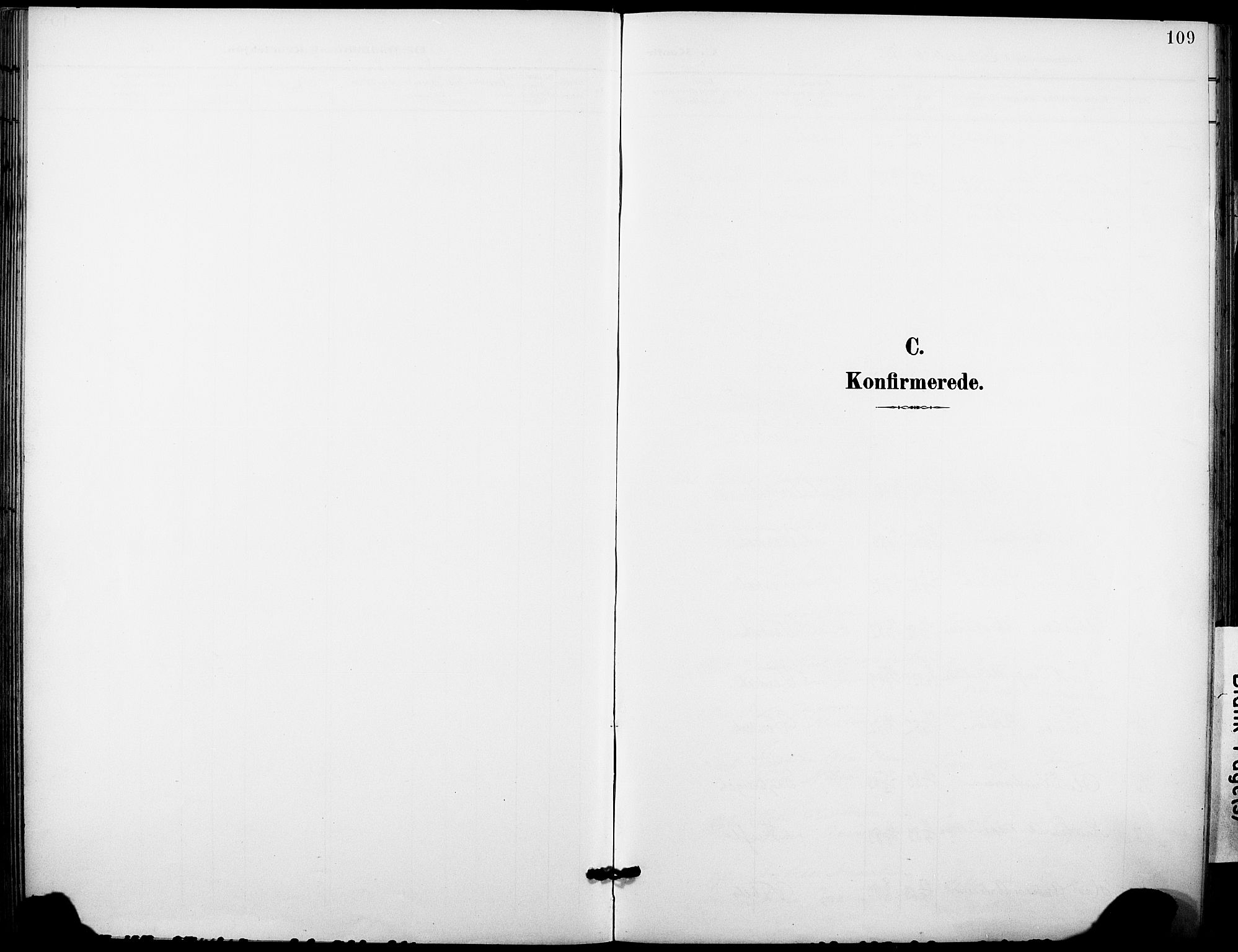 Holla kirkebøker, AV/SAKO-A-272/F/Fa/L0010: Ministerialbok nr. 10, 1897-1907, s. 109