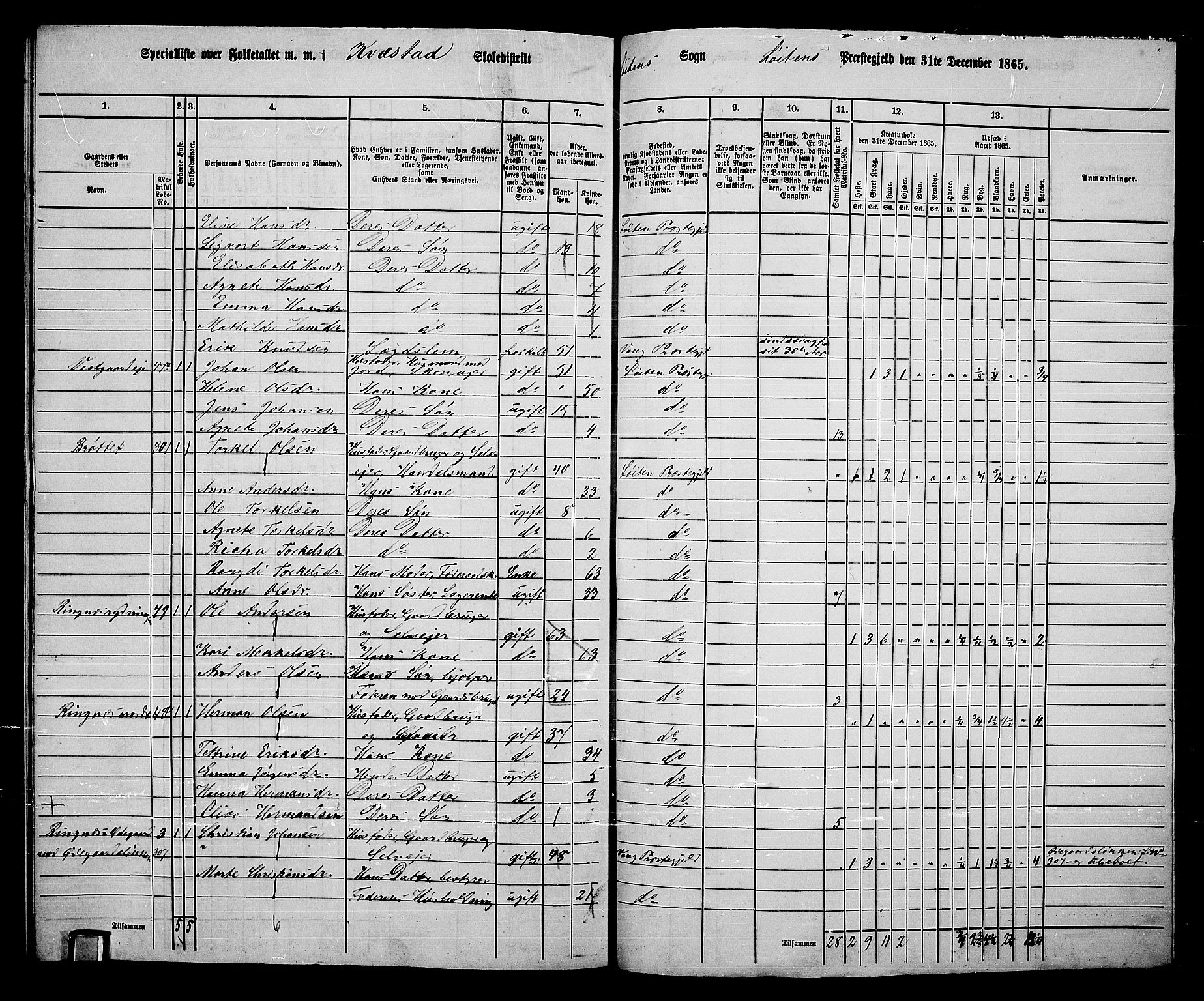 RA, Folketelling 1865 for 0415P Løten prestegjeld, 1865, s. 181