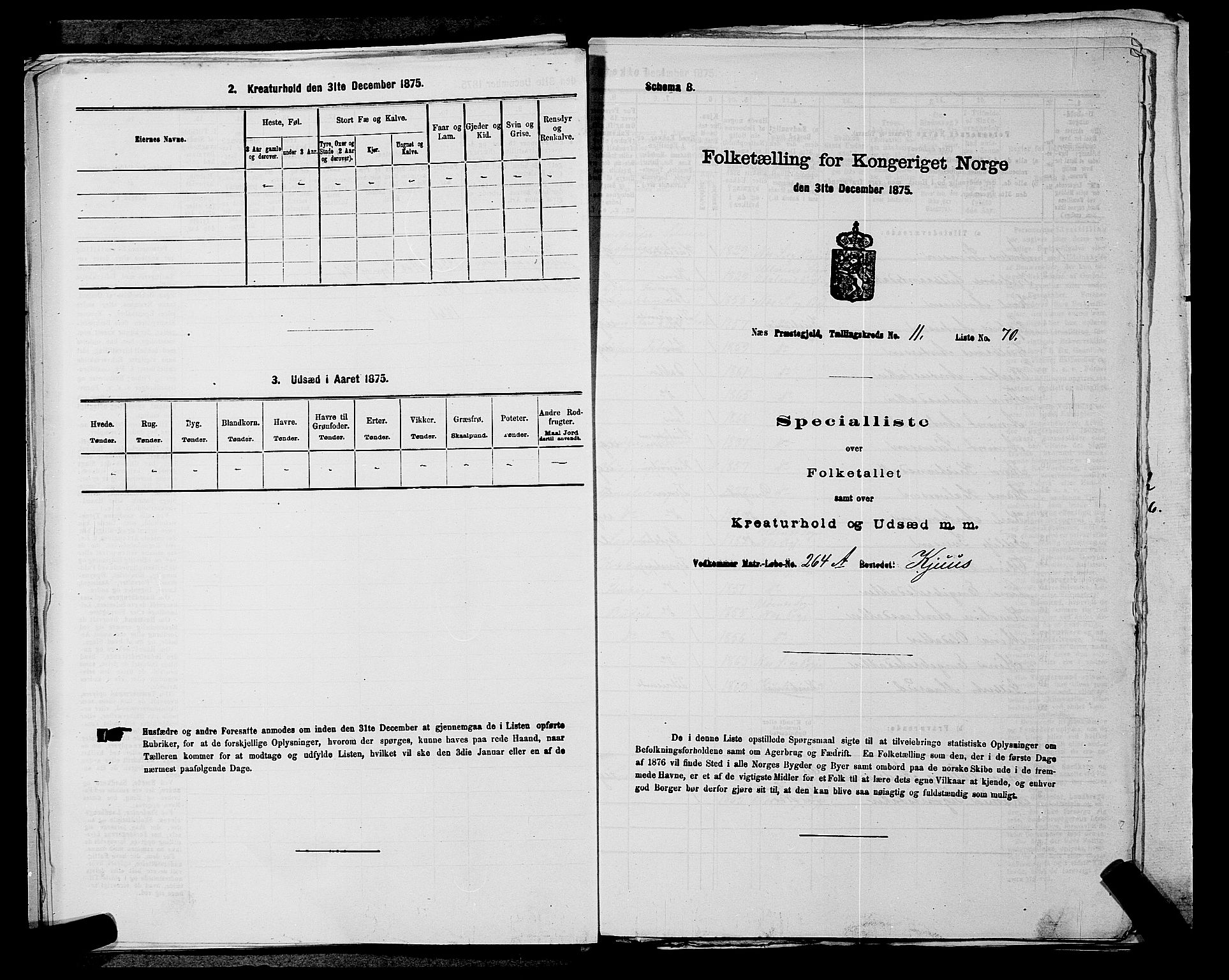 RA, Folketelling 1875 for 0236P Nes prestegjeld, 1875, s. 2029