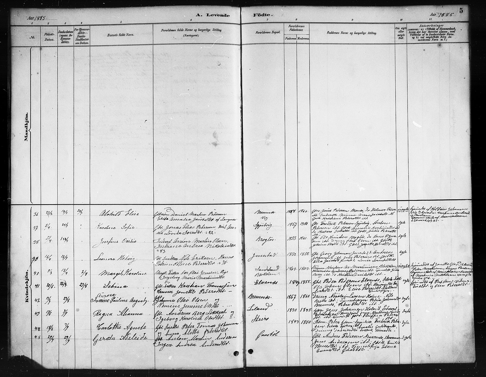 Ministerialprotokoller, klokkerbøker og fødselsregistre - Nordland, SAT/A-1459/895/L1382: Klokkerbok nr. 895C04, 1885-1896, s. 5