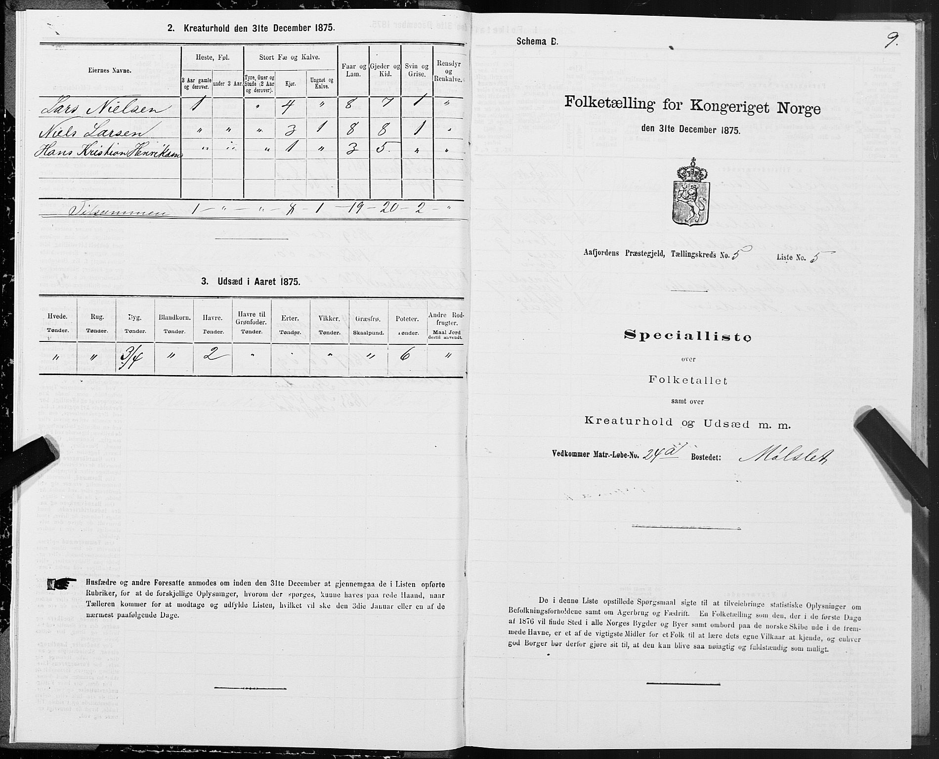 SAT, Folketelling 1875 for 1630P Aafjorden prestegjeld, 1875, s. 3009