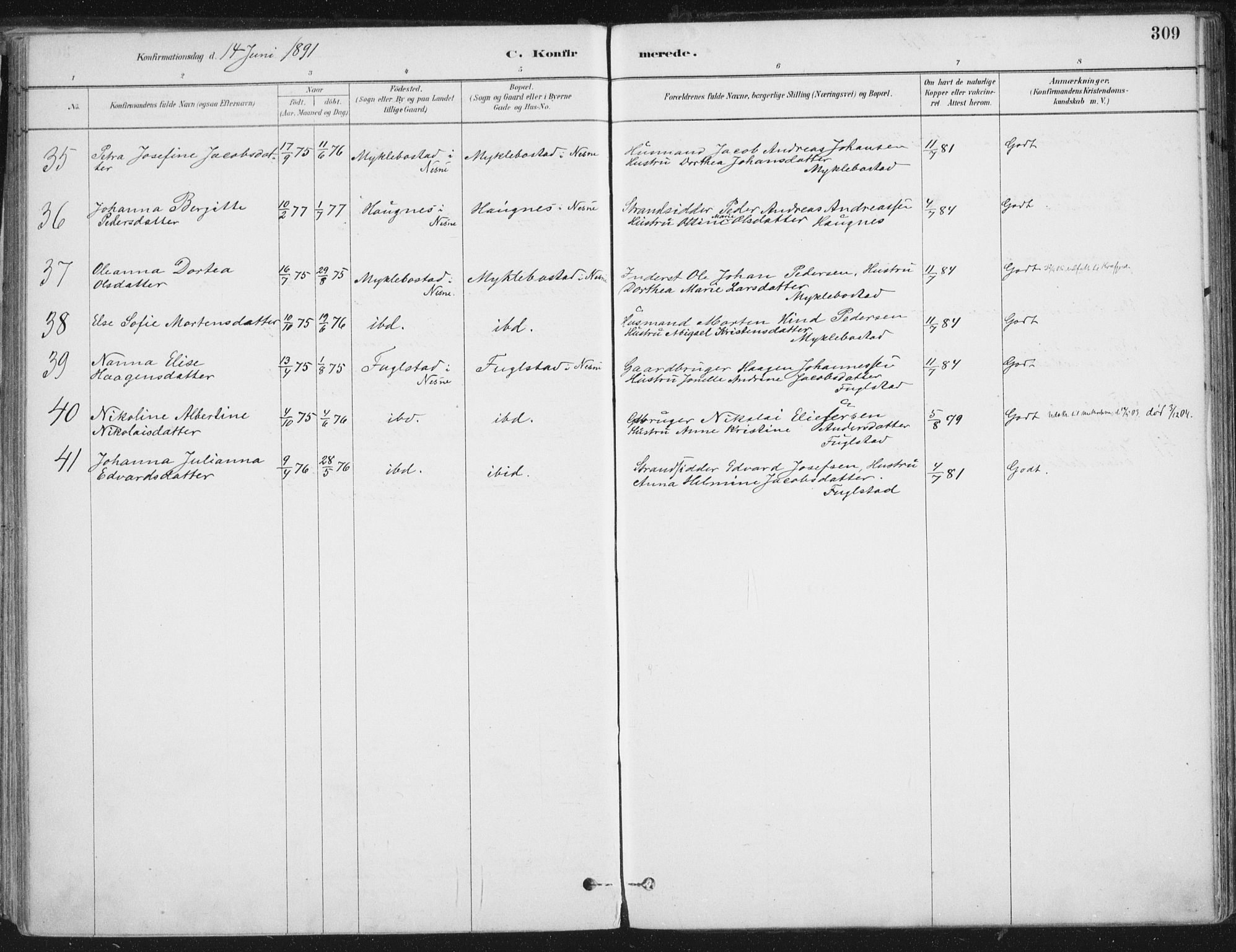 Ministerialprotokoller, klokkerbøker og fødselsregistre - Nordland, AV/SAT-A-1459/838/L0552: Ministerialbok nr. 838A10, 1880-1910, s. 309