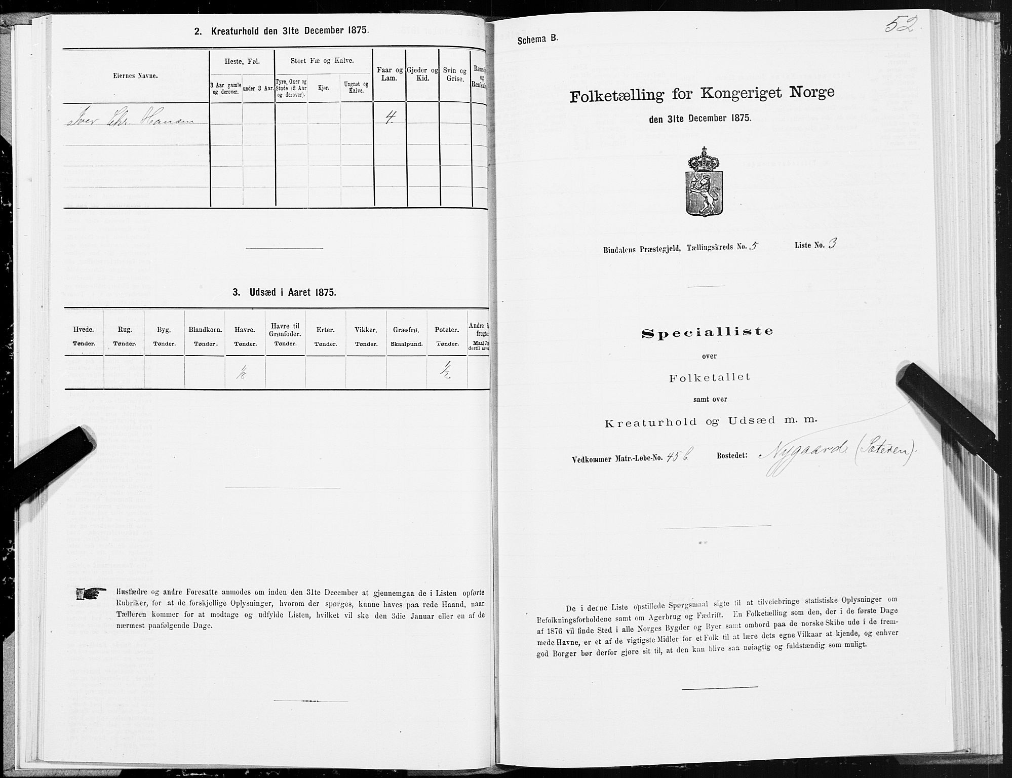 SAT, Folketelling 1875 for 1811P Bindal prestegjeld, 1875, s. 2052