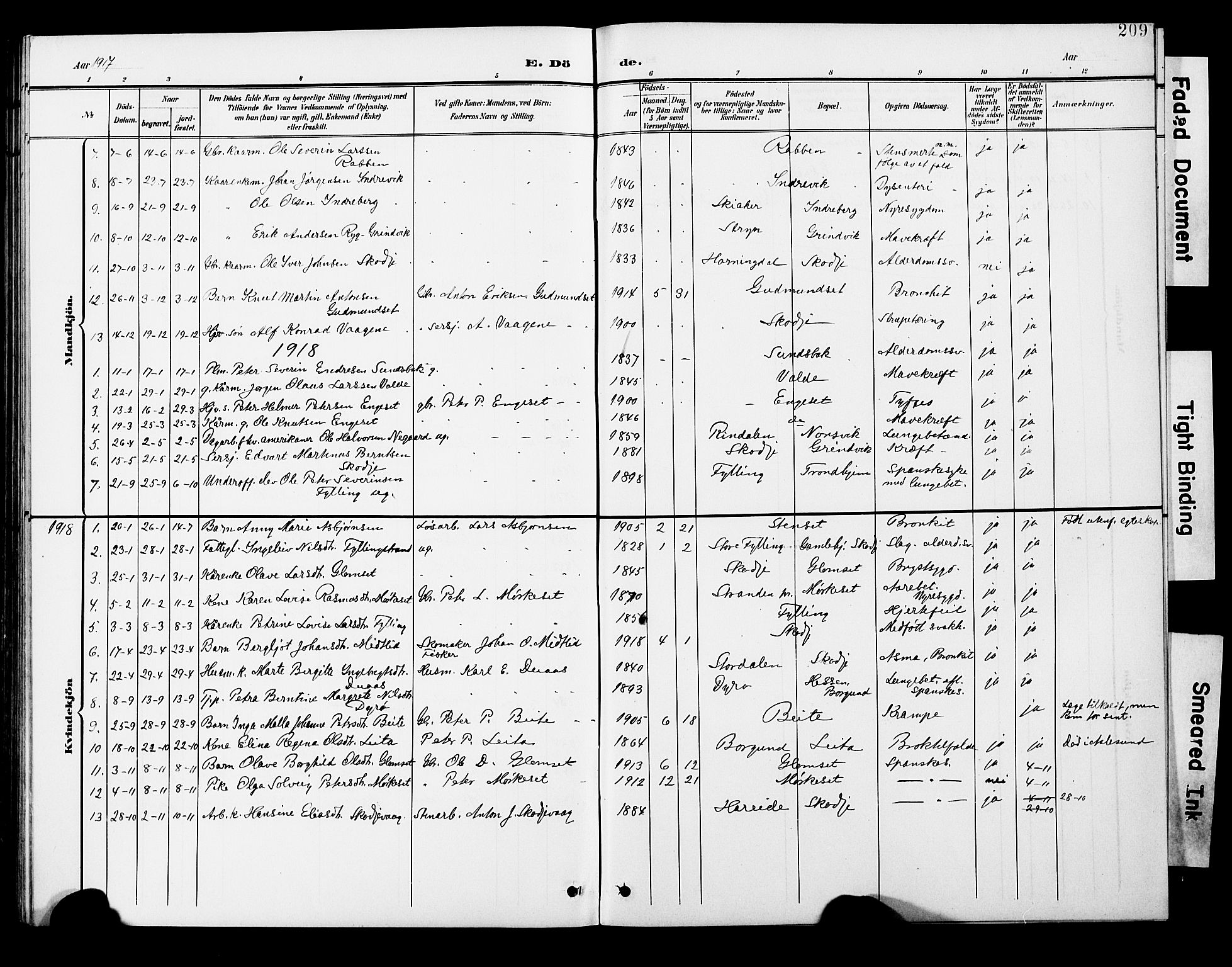 Ministerialprotokoller, klokkerbøker og fødselsregistre - Møre og Romsdal, AV/SAT-A-1454/524/L0366: Klokkerbok nr. 524C07, 1900-1931, s. 209