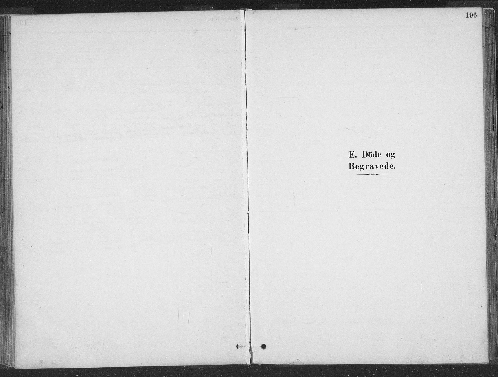 Hå sokneprestkontor, SAST/A-101801/001/30BA/L0010: Ministerialbok nr. A 9, 1879-1896, s. 196