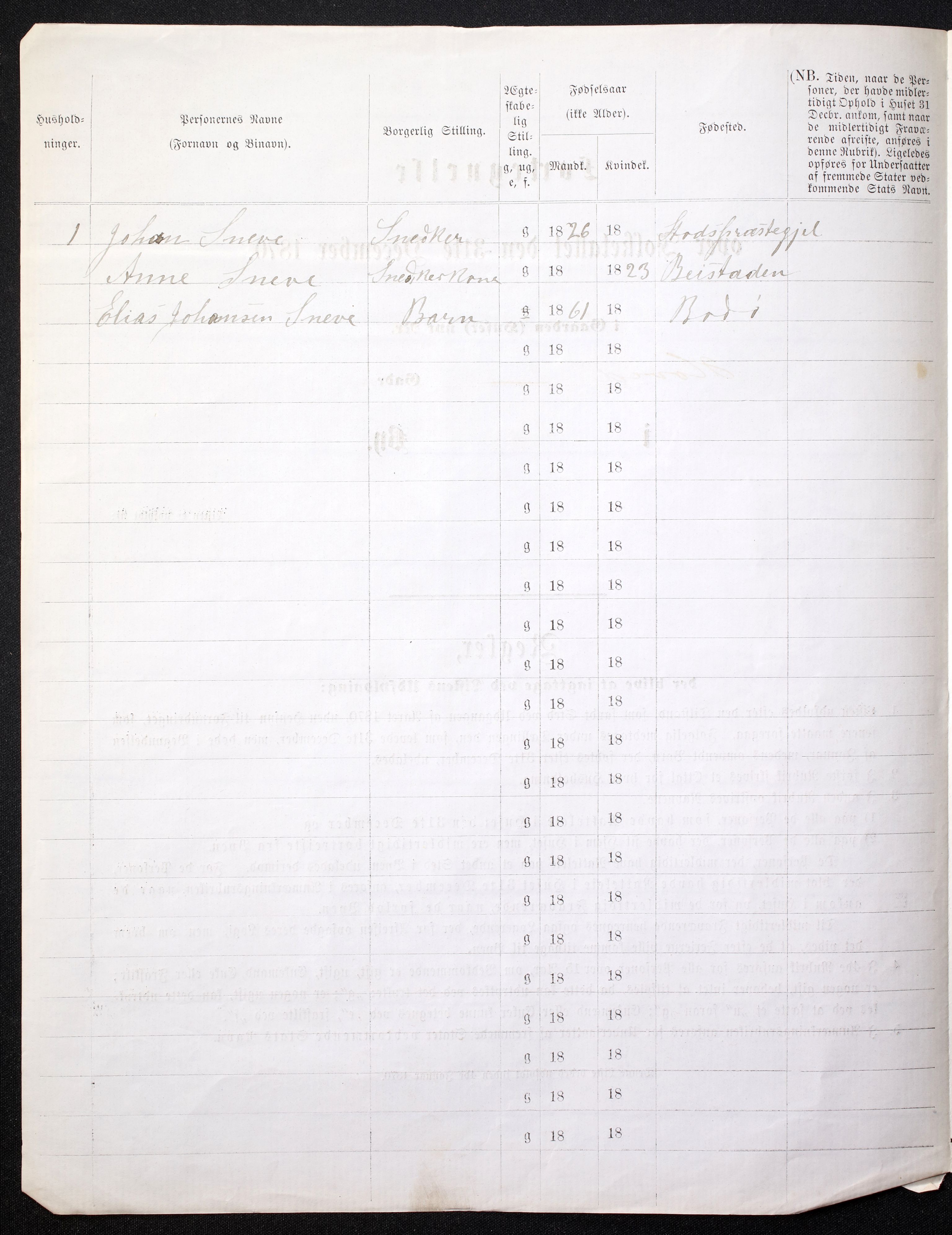 RA, Folketelling 1870 for 1804 Bodø kjøpstad, 1870, s. 14