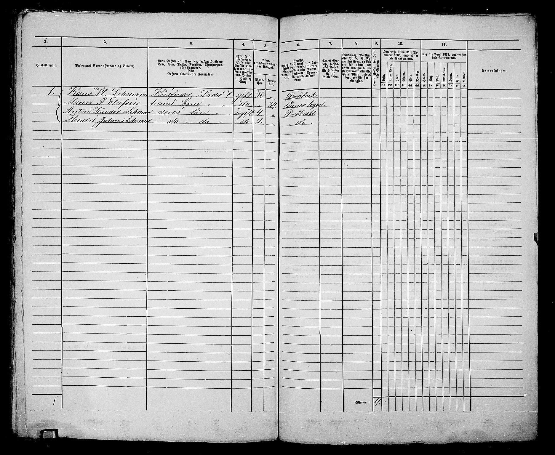 RA, Folketelling 1865 for 0203B Drøbak prestegjeld, Drøbak kjøpstad, 1865, s. 410