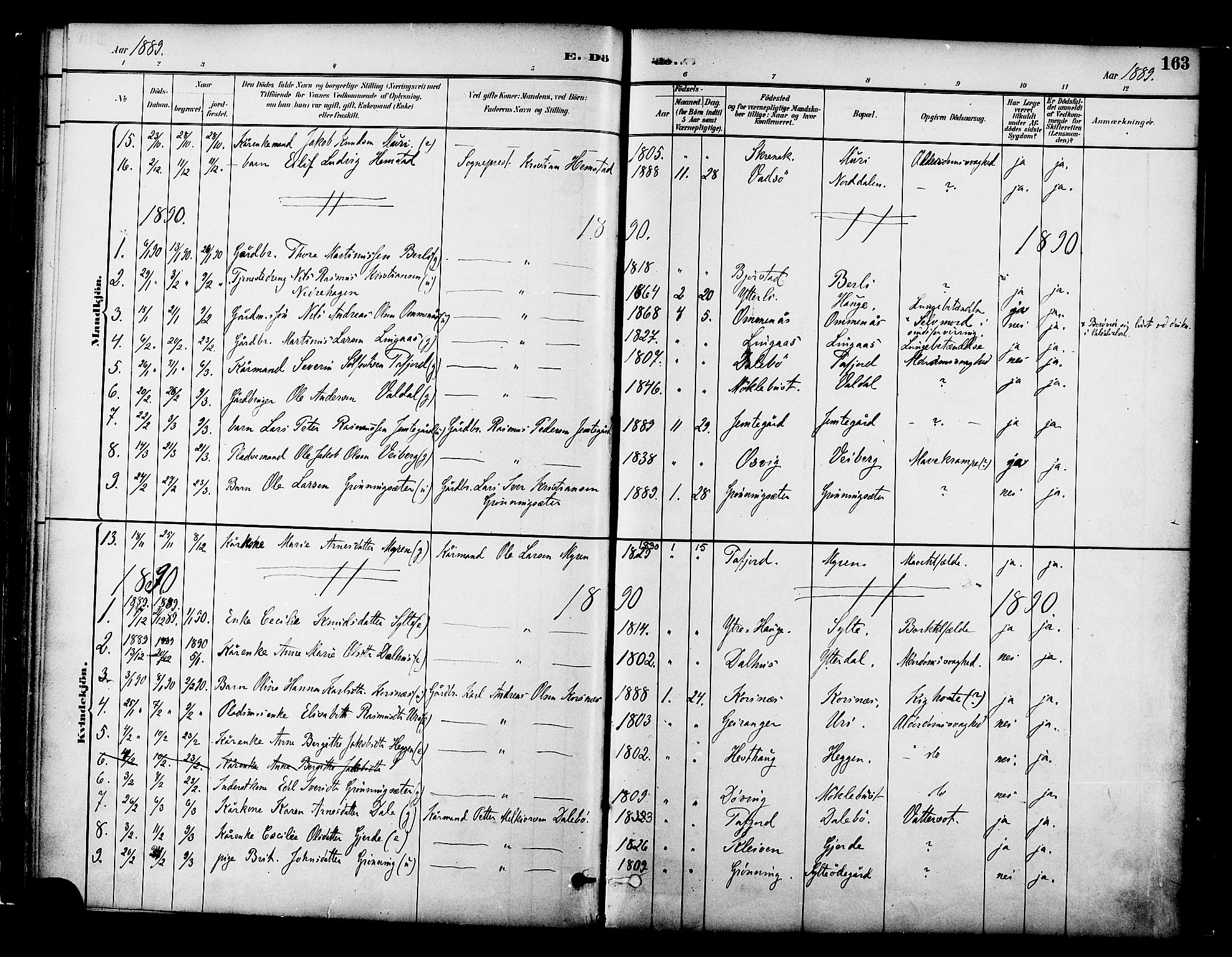 Ministerialprotokoller, klokkerbøker og fødselsregistre - Møre og Romsdal, AV/SAT-A-1454/519/L0255: Ministerialbok nr. 519A14, 1884-1908, s. 163