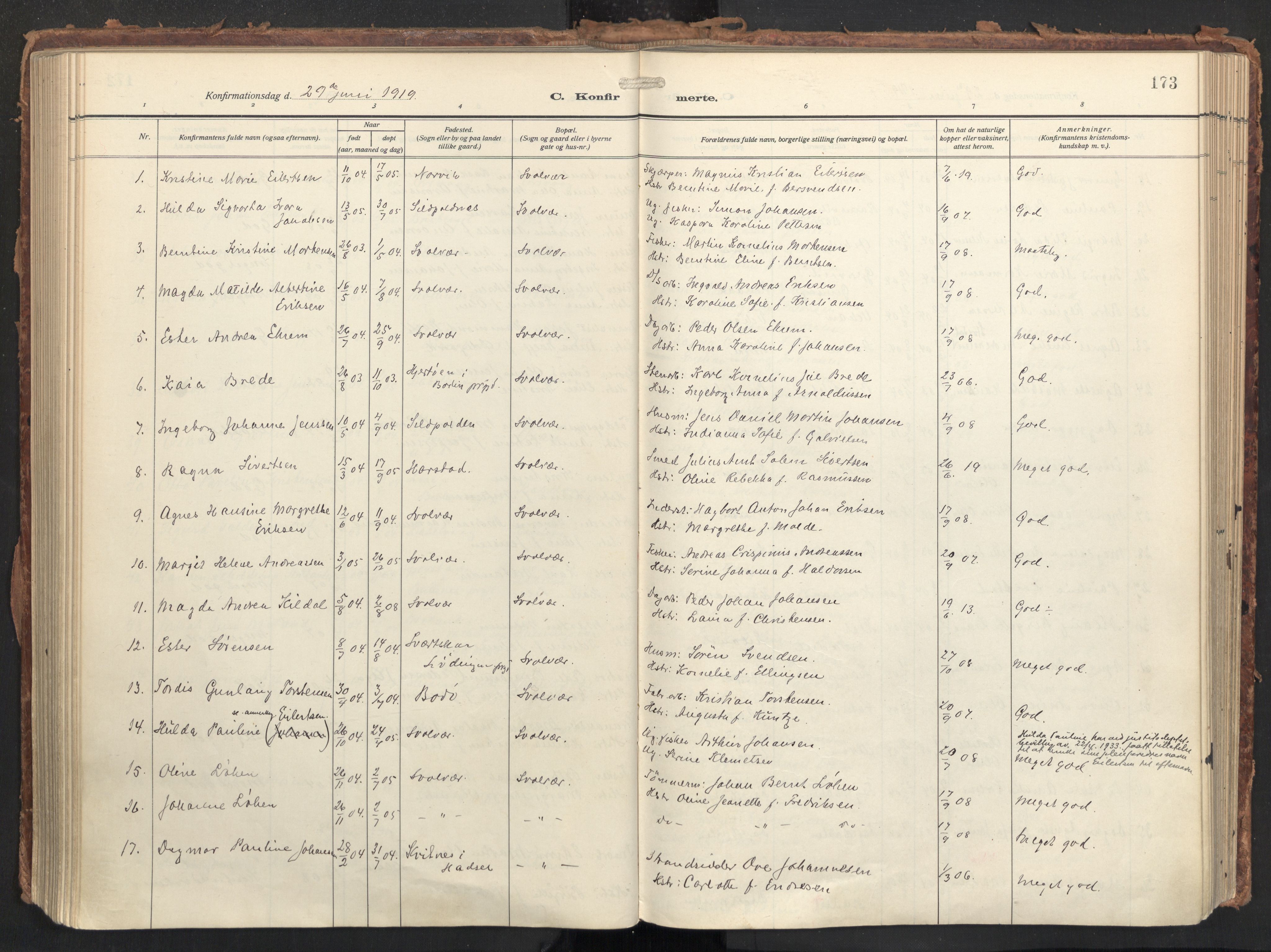 Ministerialprotokoller, klokkerbøker og fødselsregistre - Nordland, AV/SAT-A-1459/874/L1064: Ministerialbok nr. 874A08, 1915-1926, s. 173