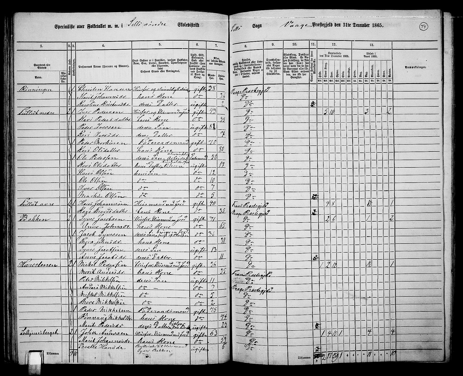 RA, Folketelling 1865 for 0515P Vågå prestegjeld, 1865, s. 234