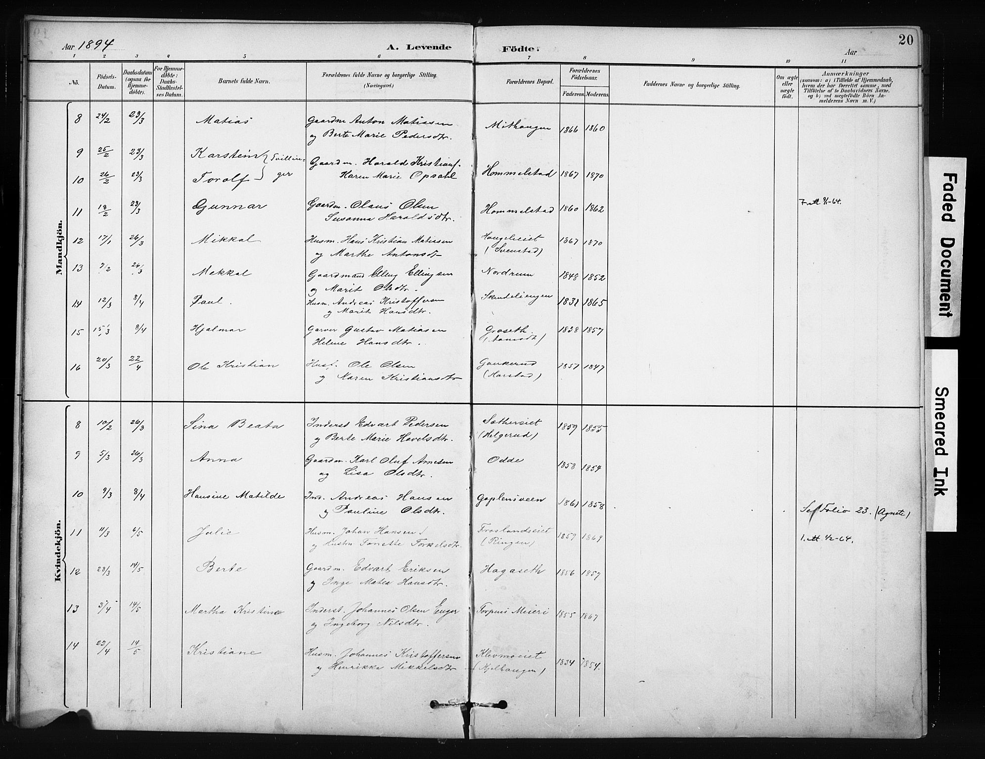 Nordre Land prestekontor, SAH/PREST-124/H/Ha/Hab/L0012: Klokkerbok nr. 12, 1891-1909, s. 20