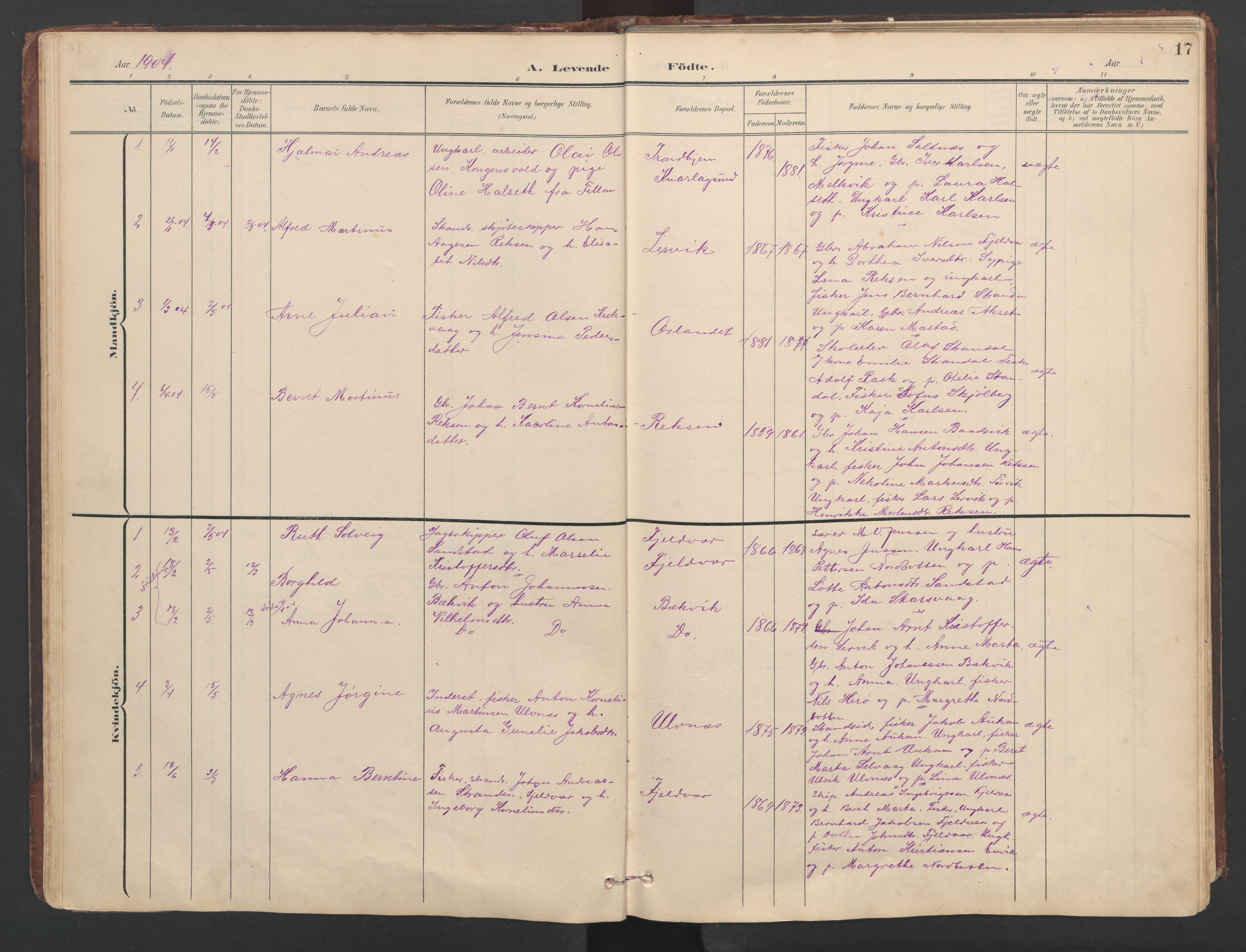 Ministerialprotokoller, klokkerbøker og fødselsregistre - Sør-Trøndelag, AV/SAT-A-1456/638/L0571: Klokkerbok nr. 638C03, 1901-1930, s. 17