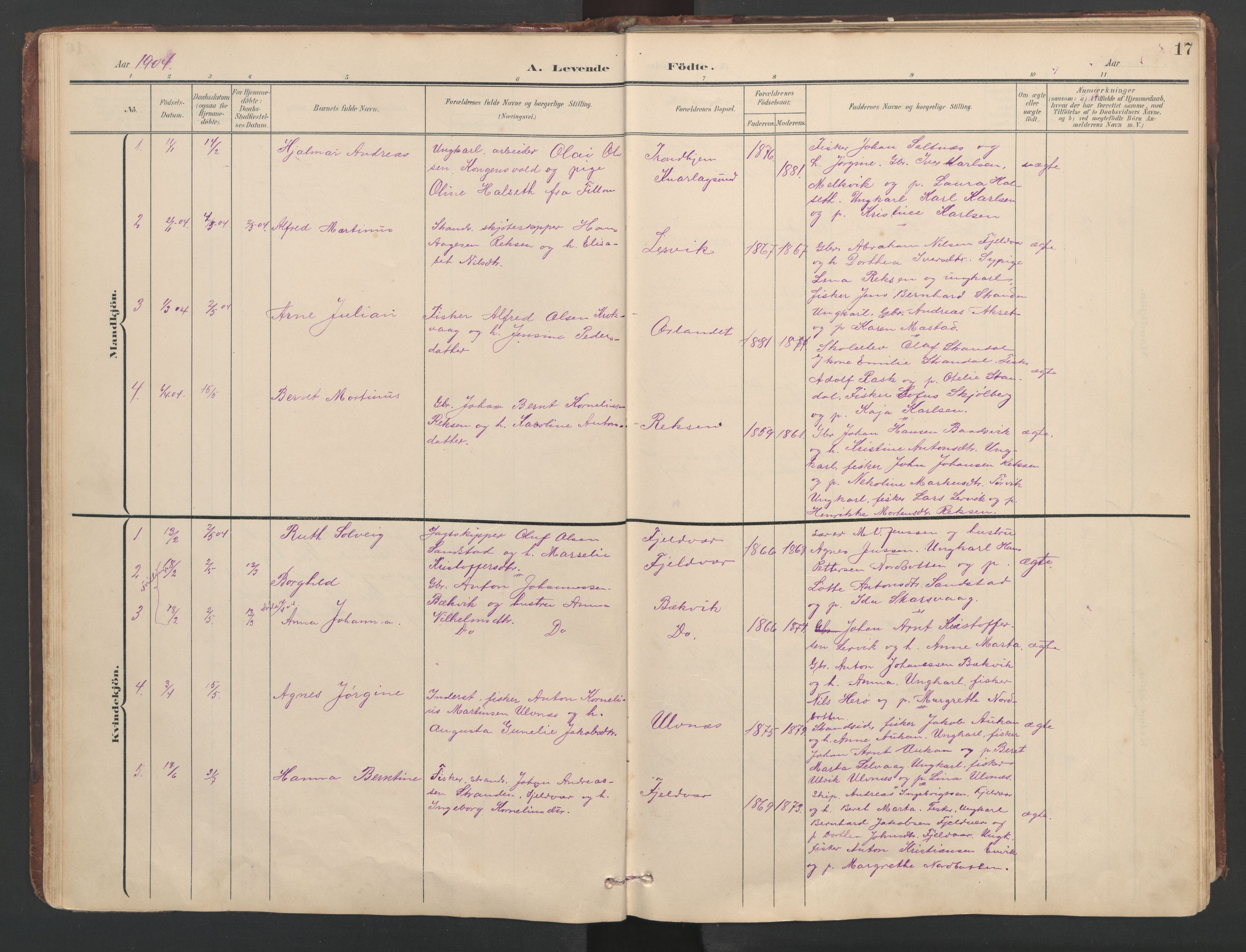 Ministerialprotokoller, klokkerbøker og fødselsregistre - Sør-Trøndelag, SAT/A-1456/638/L0571: Klokkerbok nr. 638C03, 1901-1930, s. 17