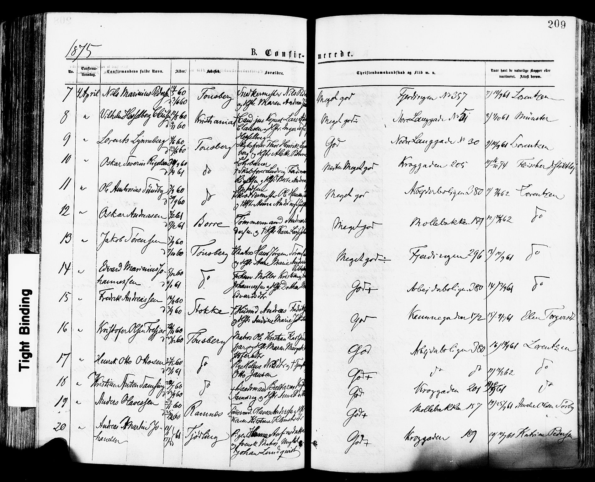 Tønsberg kirkebøker, AV/SAKO-A-330/F/Fa/L0010: Ministerialbok nr. I 10, 1874-1880, s. 209