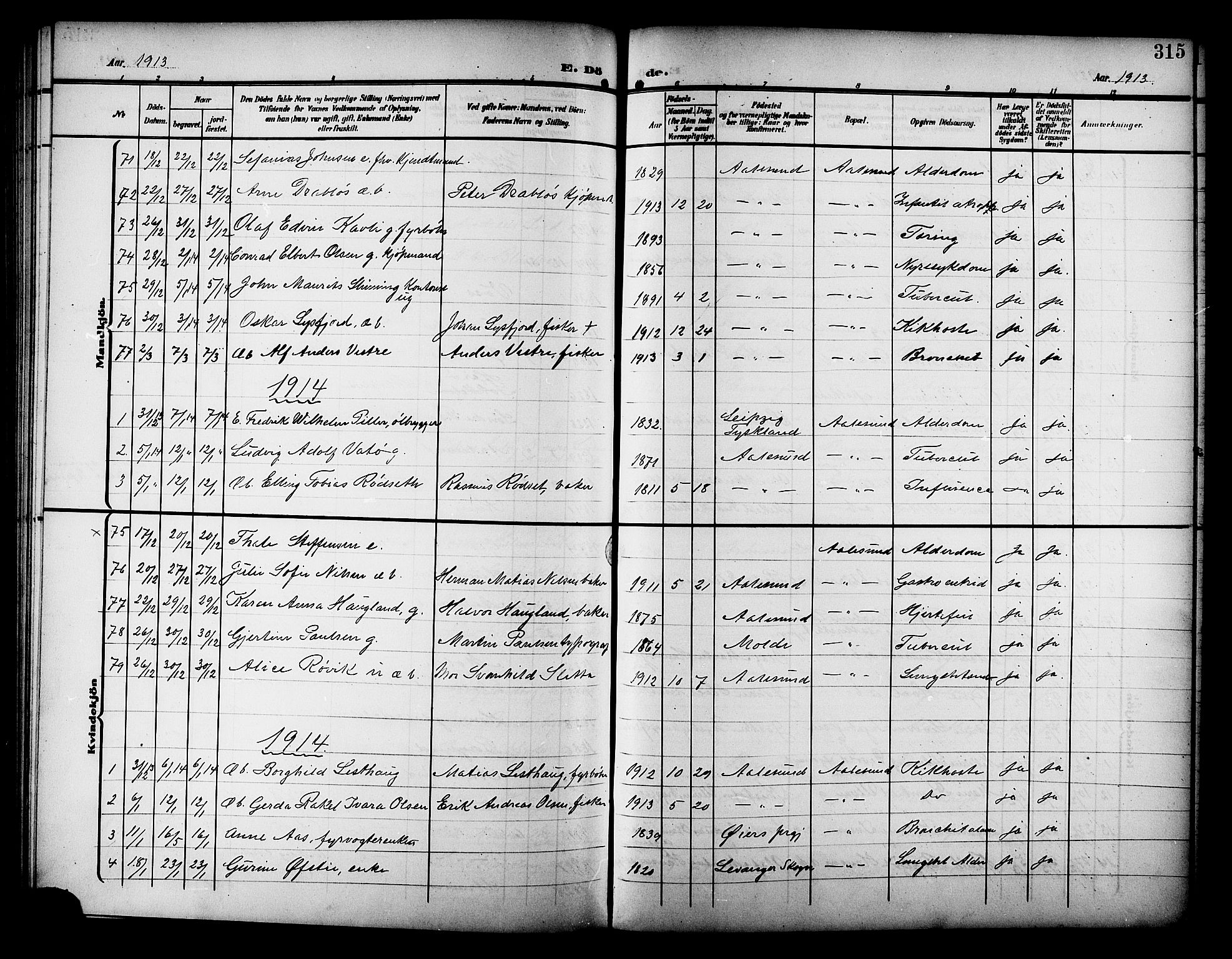 Ministerialprotokoller, klokkerbøker og fødselsregistre - Møre og Romsdal, AV/SAT-A-1454/529/L0470: Klokkerbok nr. 529C07, 1907-1917, s. 315