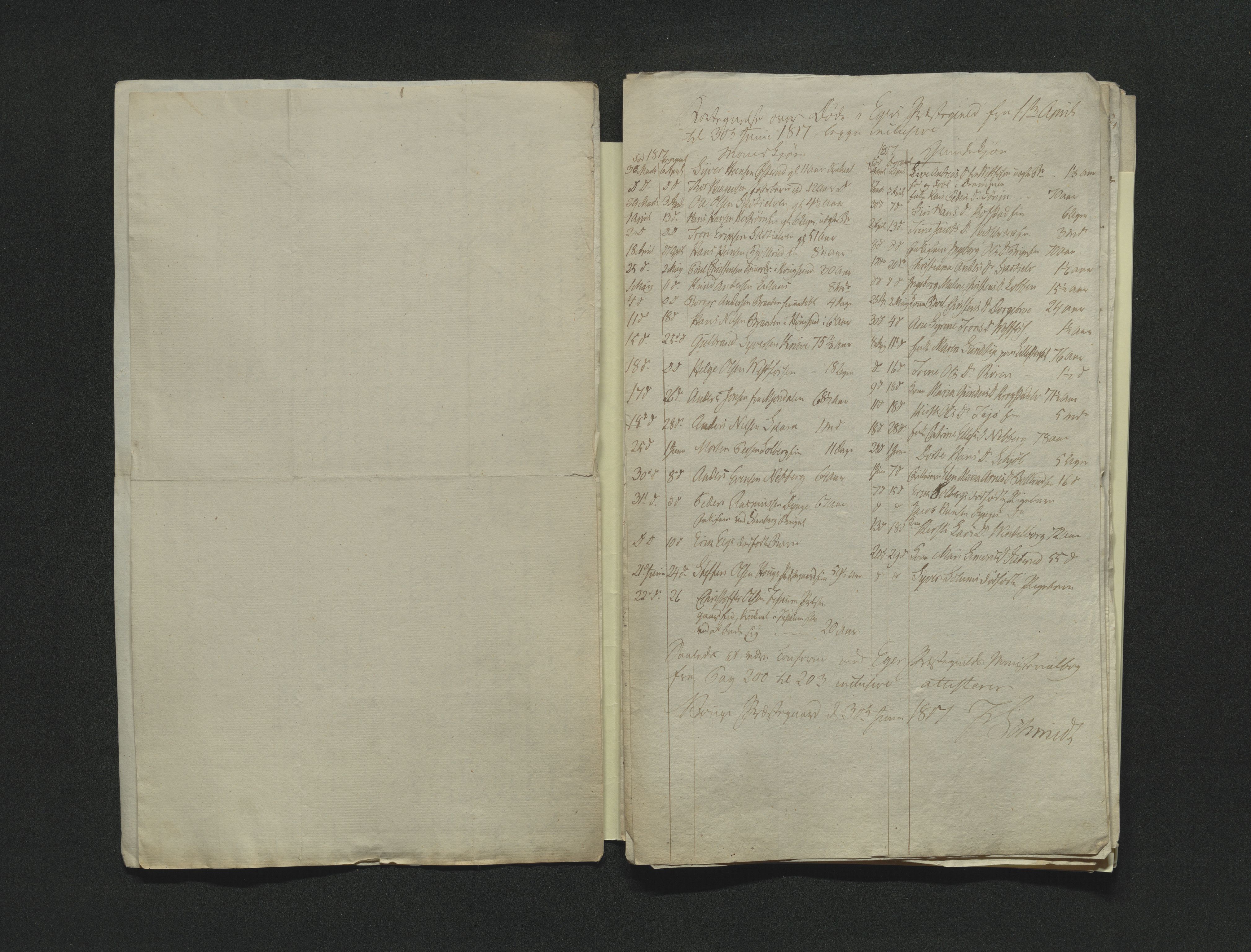 Eiker, Modum og Sigdal sorenskriveri, AV/SAKO-A-123/H/Ha/Hab/L0001: Dødsfallsmeldinger, 1812-1822, s. 197