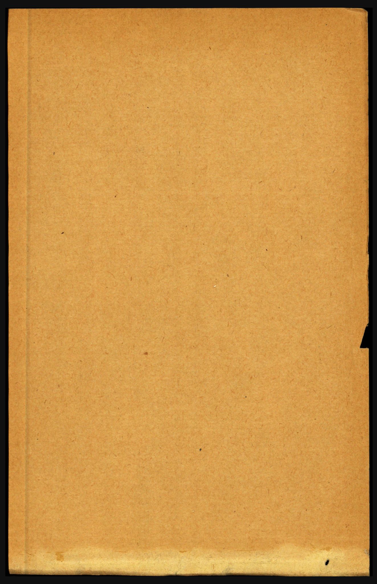 RA, Folketelling 1891 for 1868 Øksnes herred, 1891, s. 1131