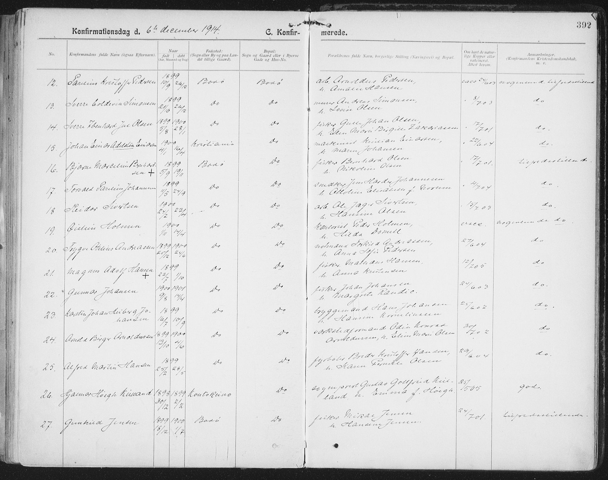 Ministerialprotokoller, klokkerbøker og fødselsregistre - Nordland, AV/SAT-A-1459/801/L0011: Ministerialbok nr. 801A11, 1900-1916, s. 392