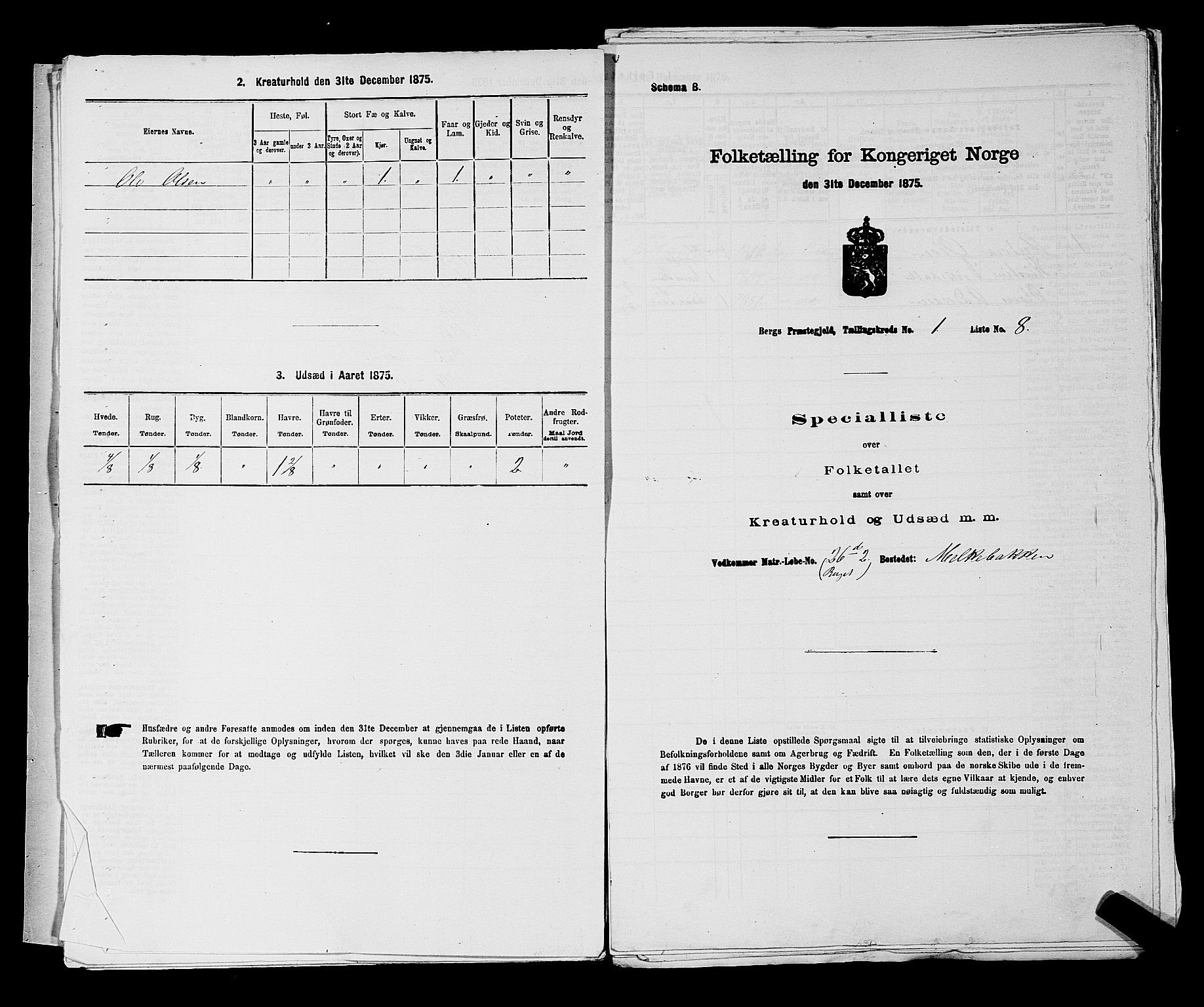 RA, Folketelling 1875 for 0116P Berg prestegjeld, 1875, s. 42